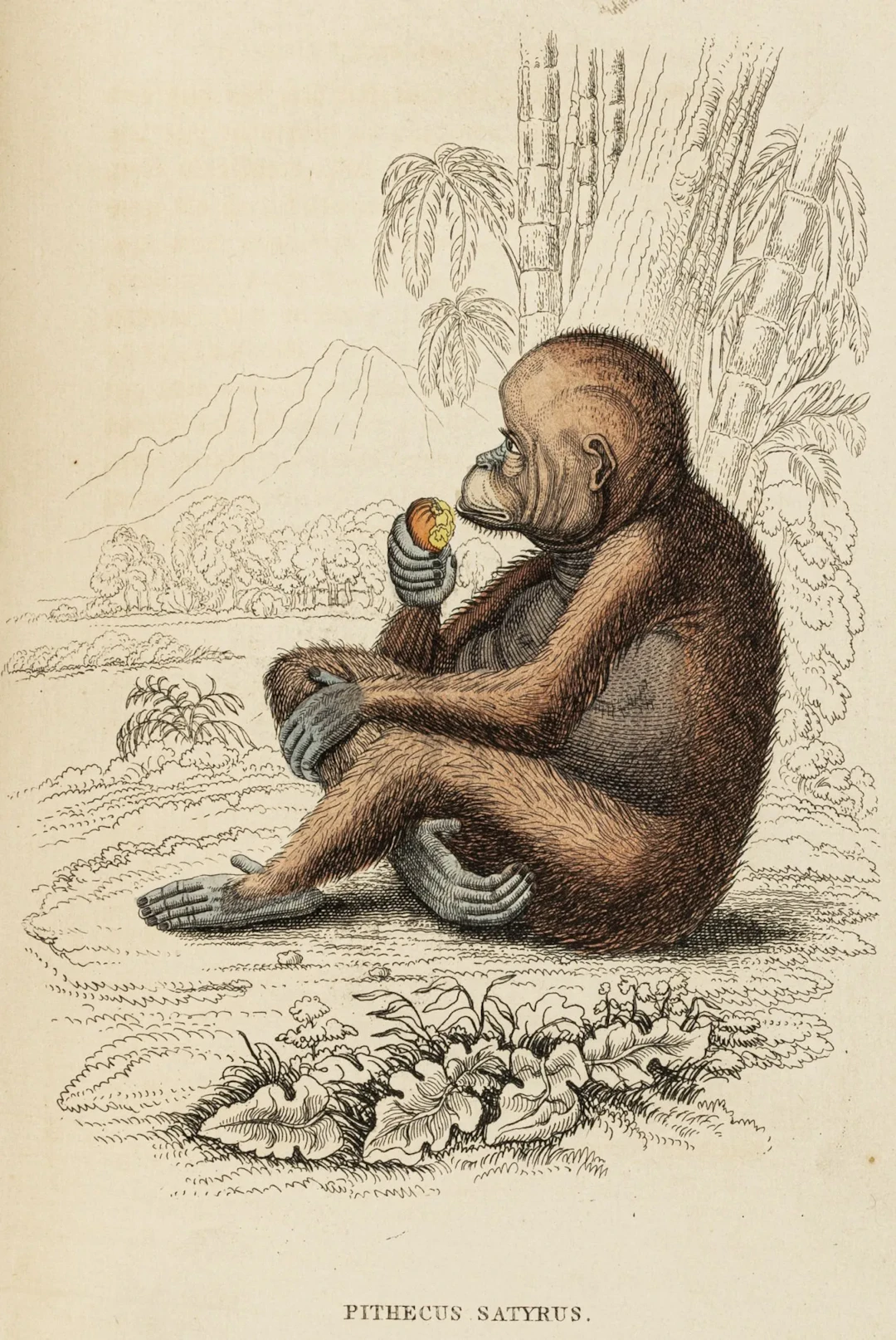 Biologie - Zoologie