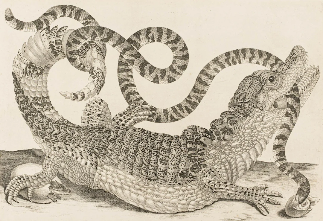 Biologie - Zoologie