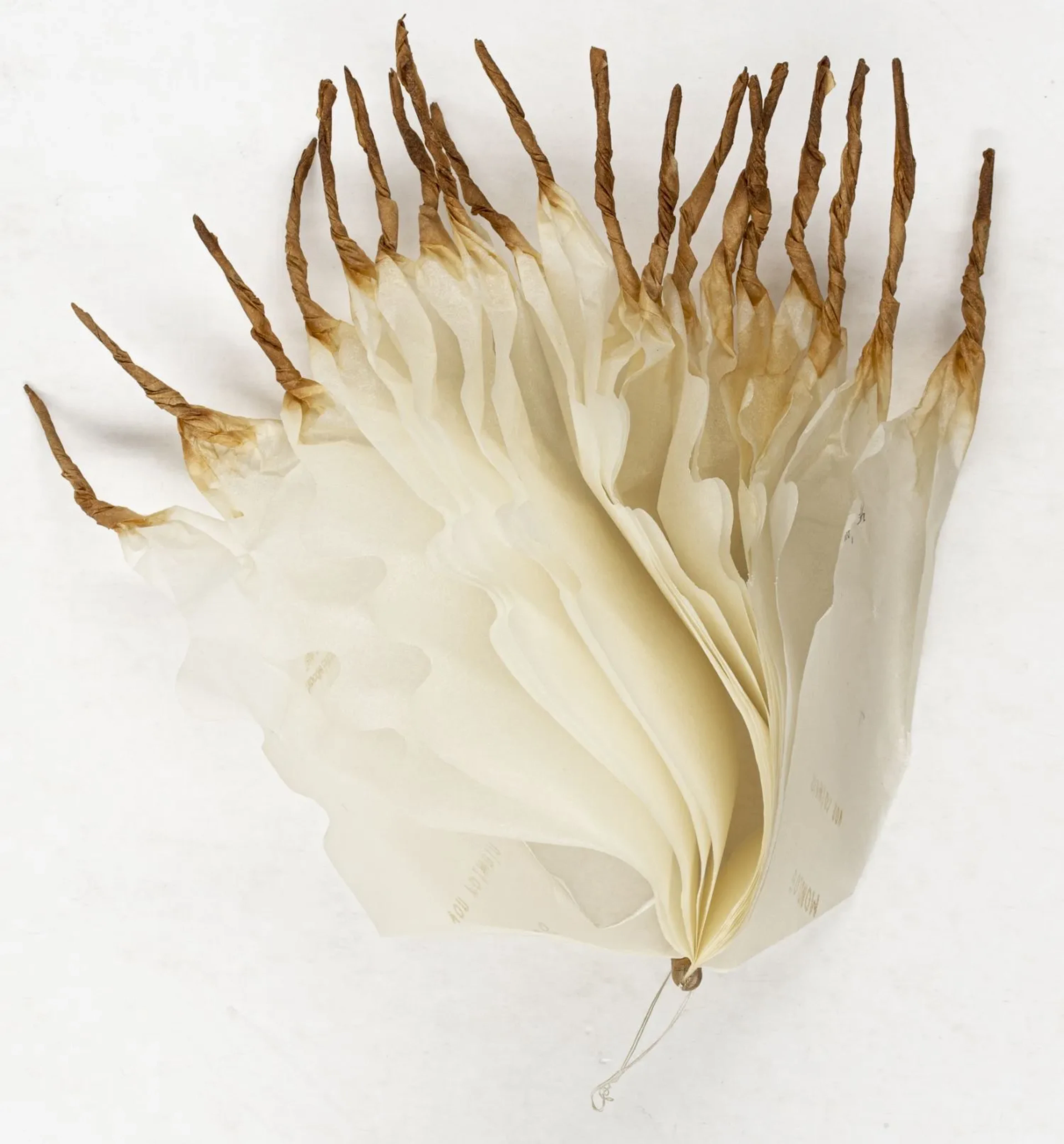 Fluxus