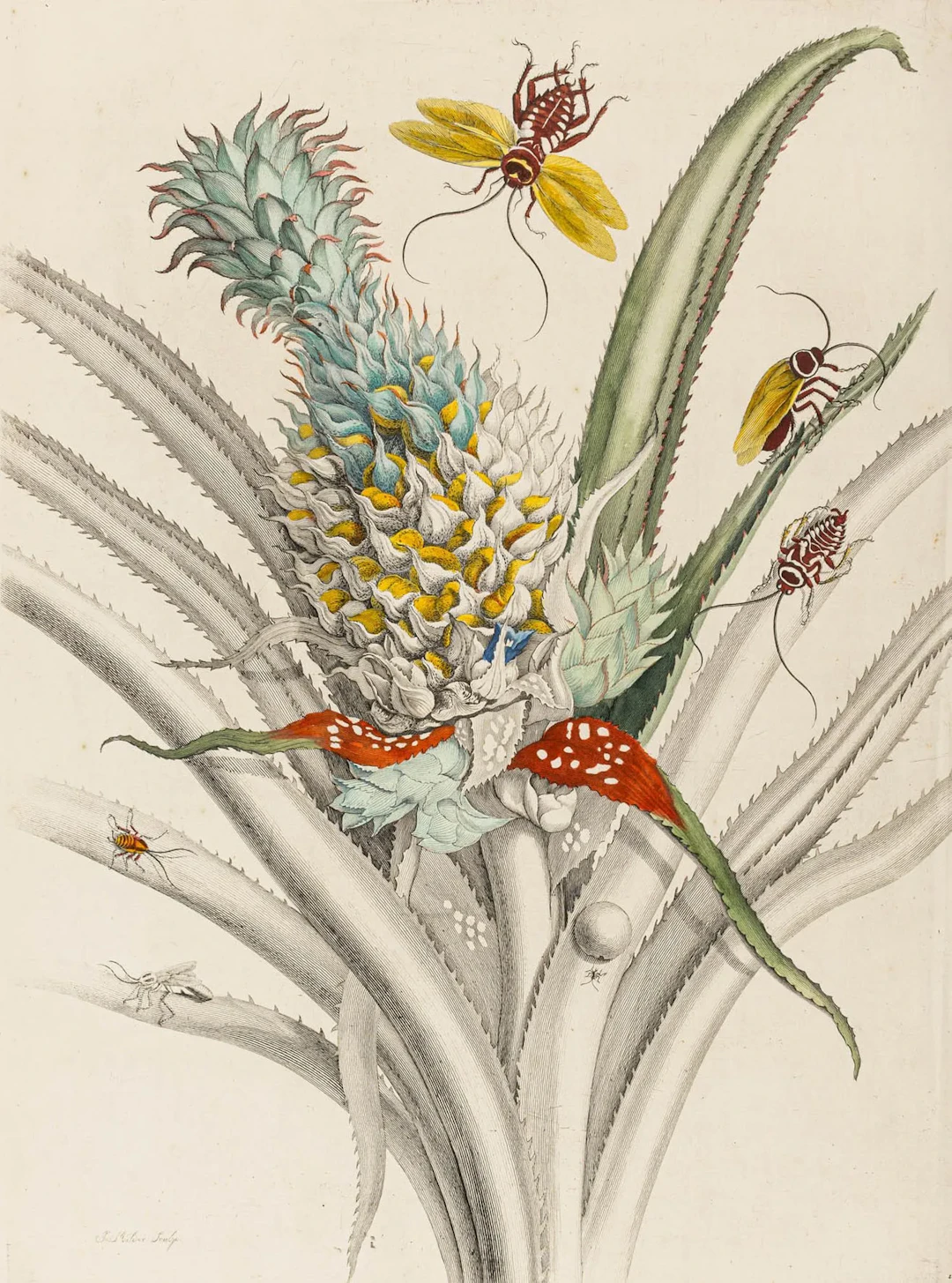 Biologie - Zoologie