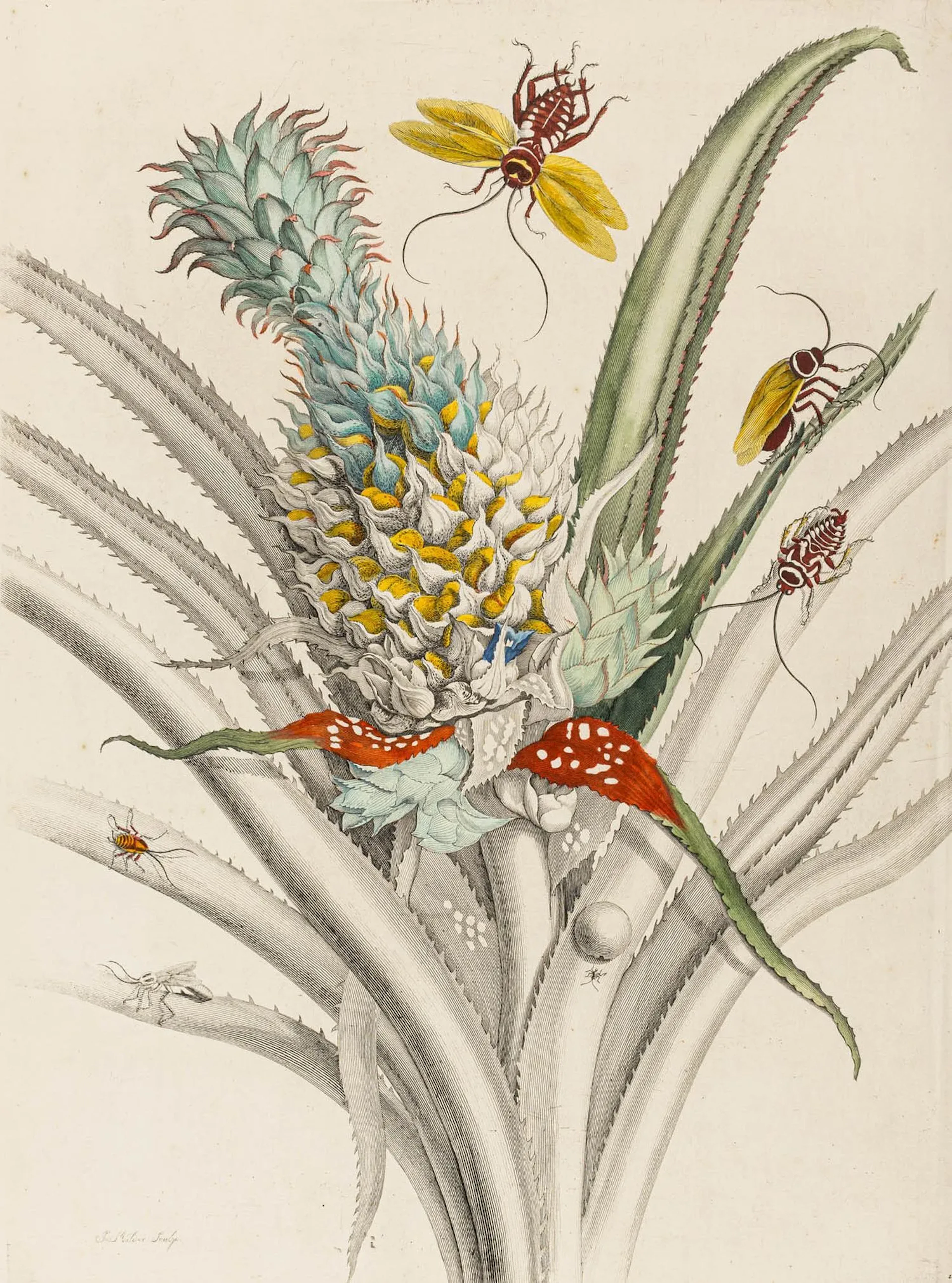 Biologie - Zoologie