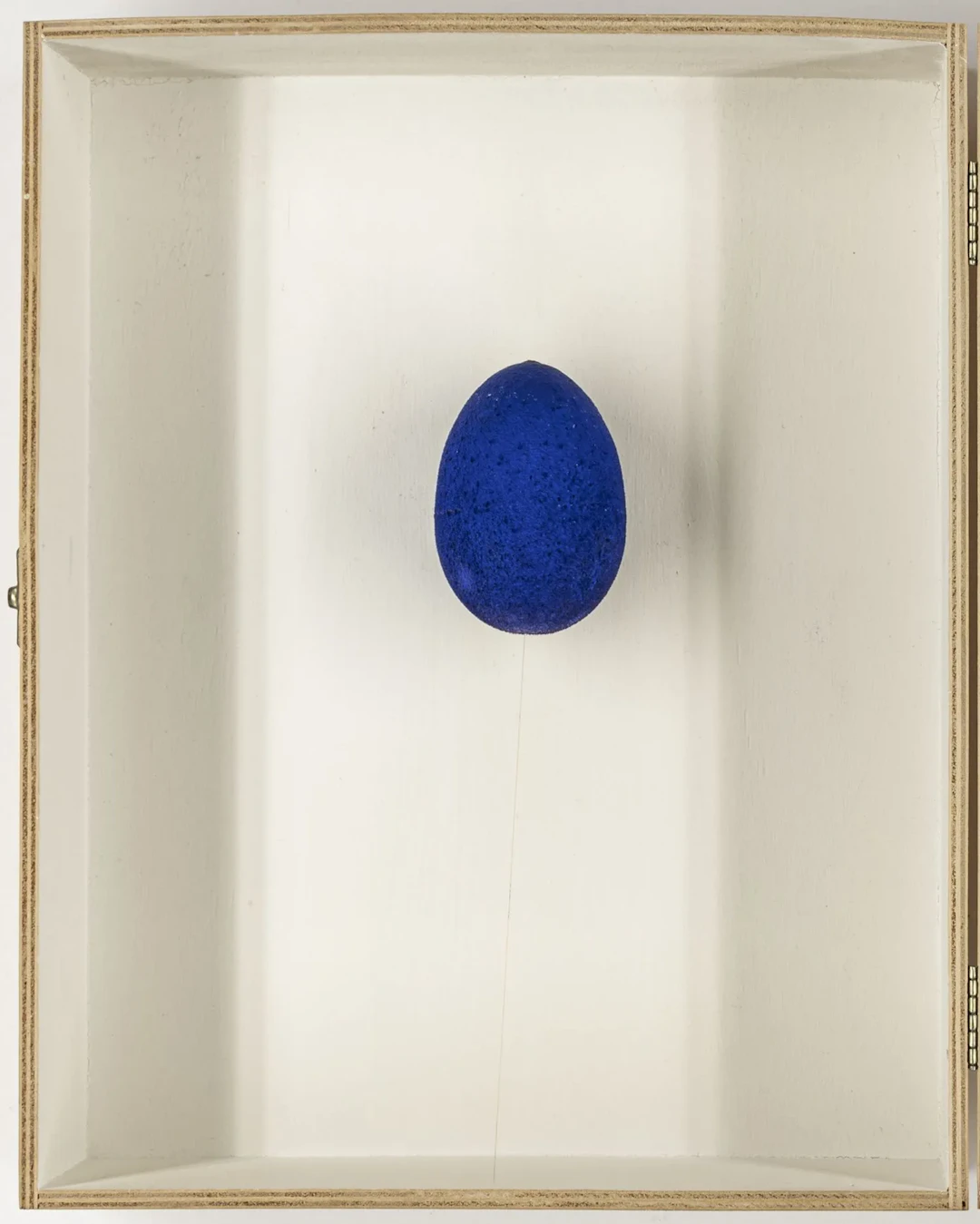 Fluxus