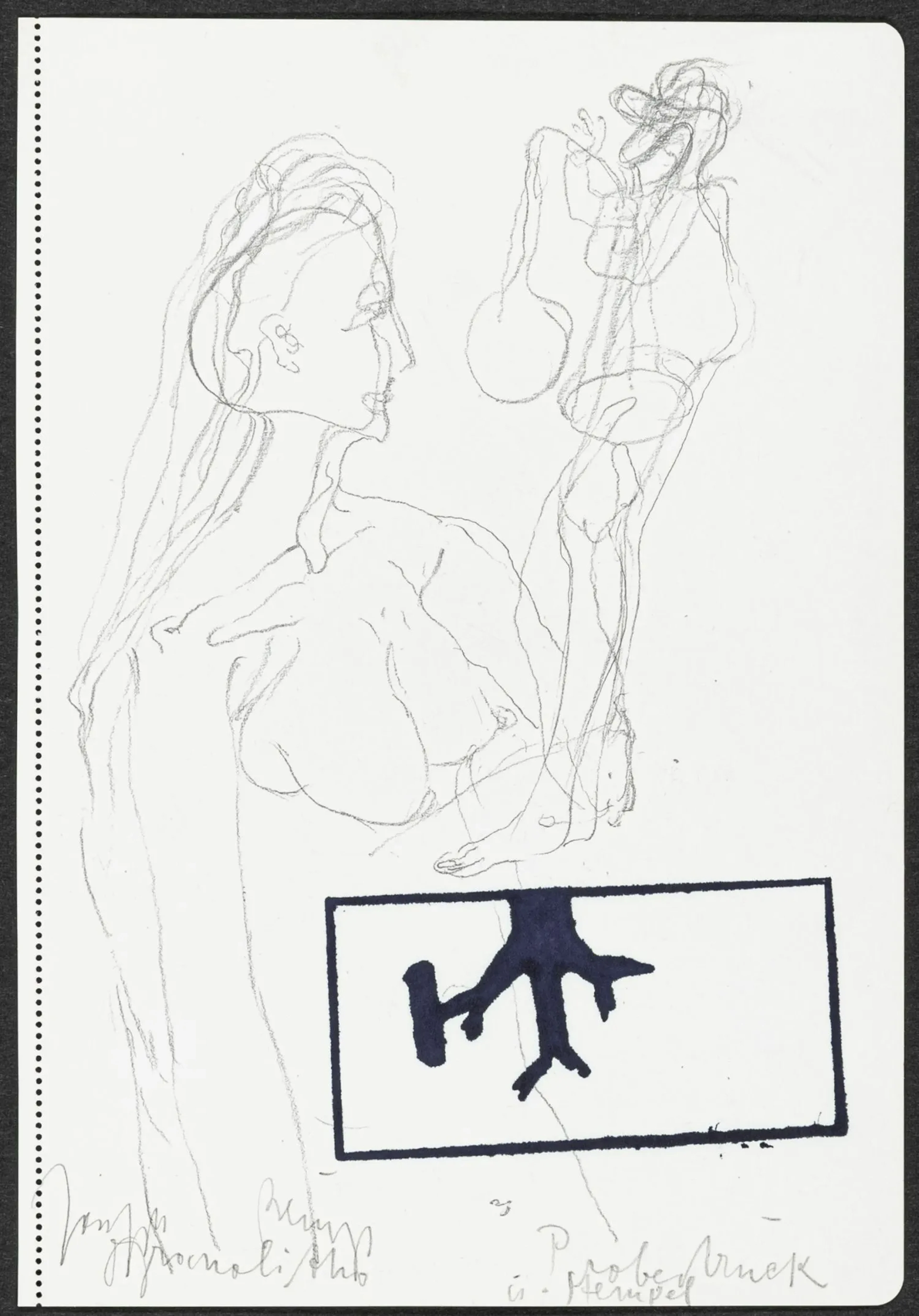 Fluxus