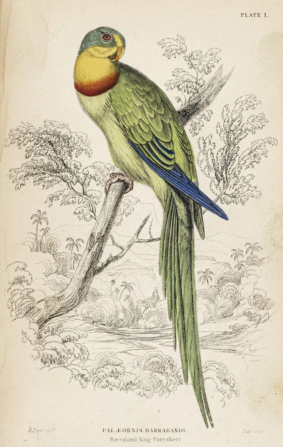 Biologie - Zoologie