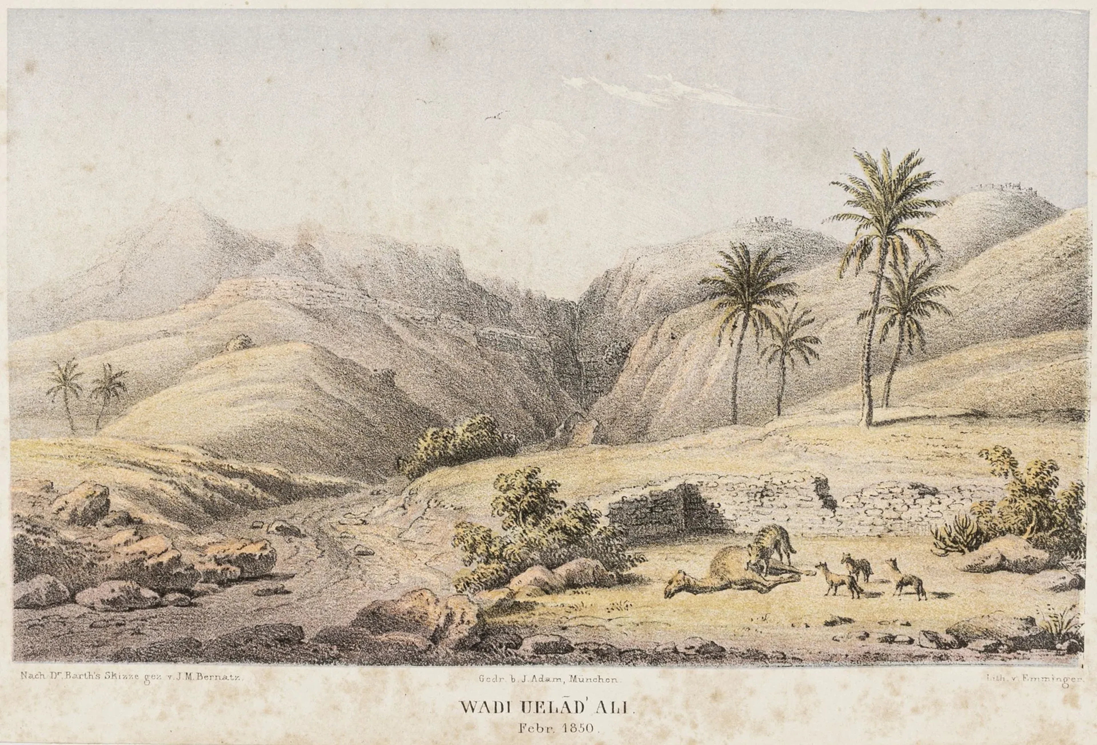 Afrika
