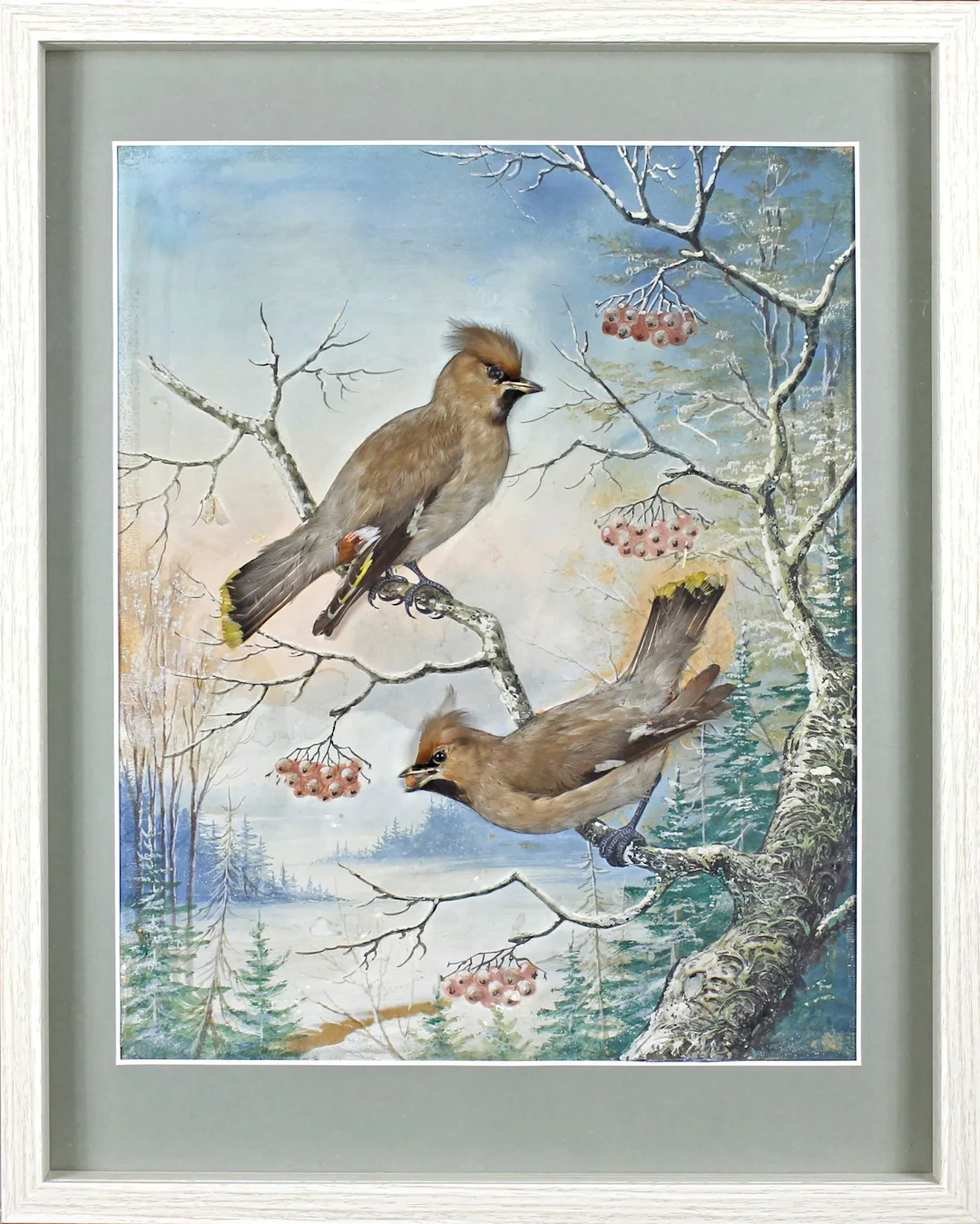 Flora & Fauna