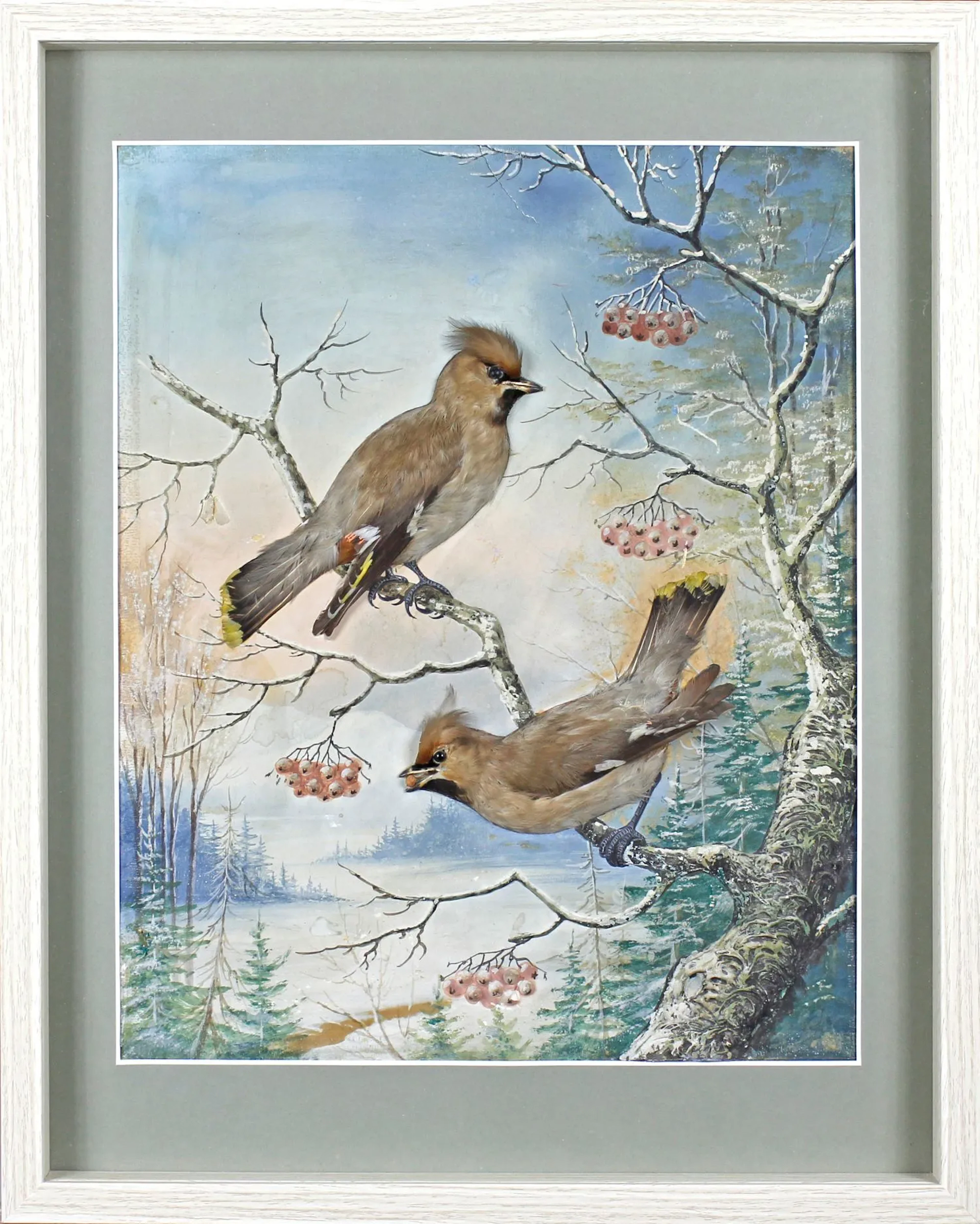 Flora & Fauna