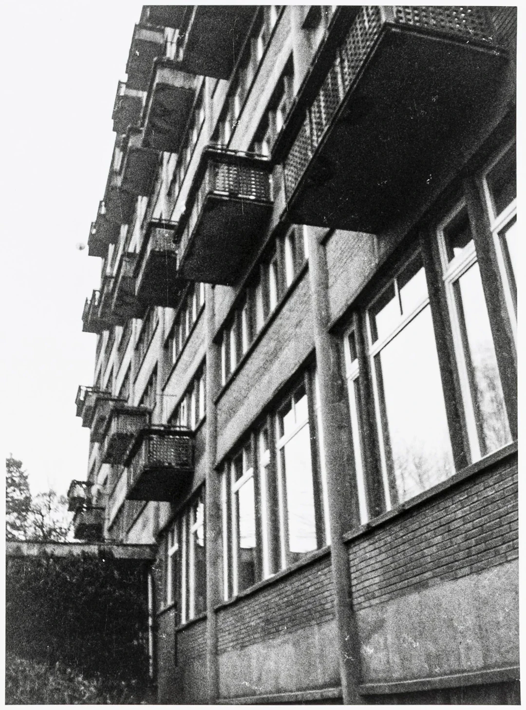 Förg, Günther