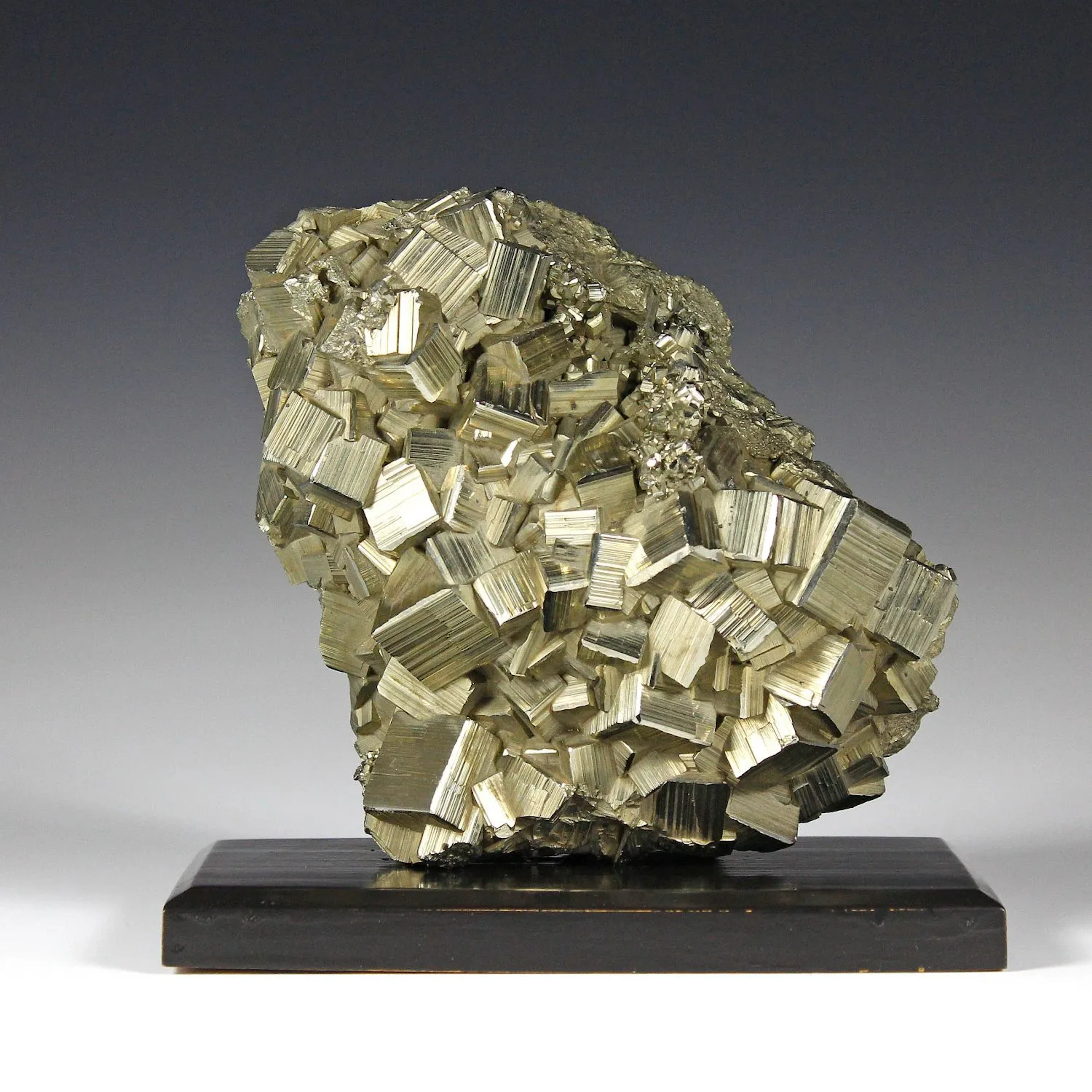 Minerals & Fossils