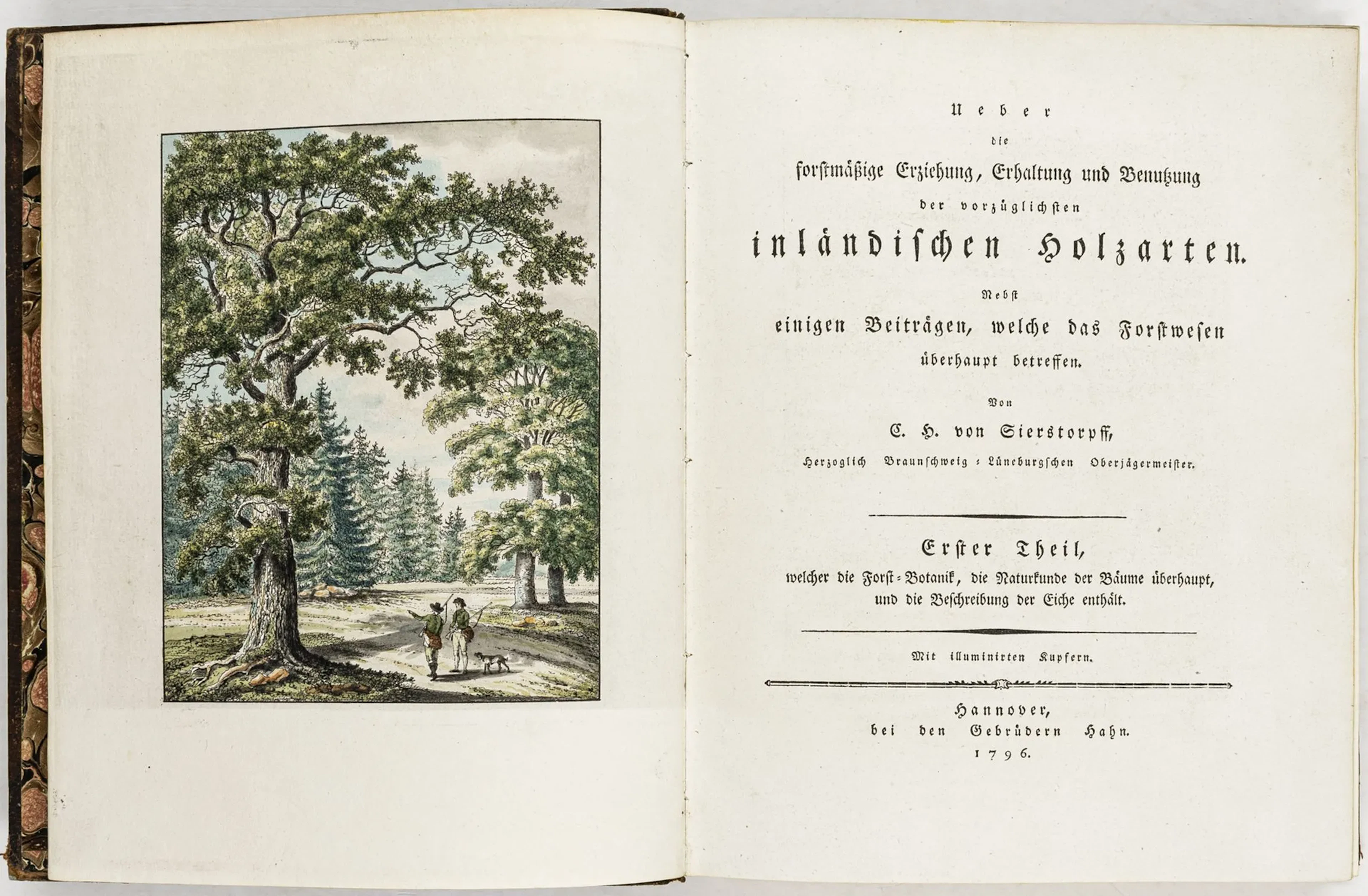 Biologie - Botanik