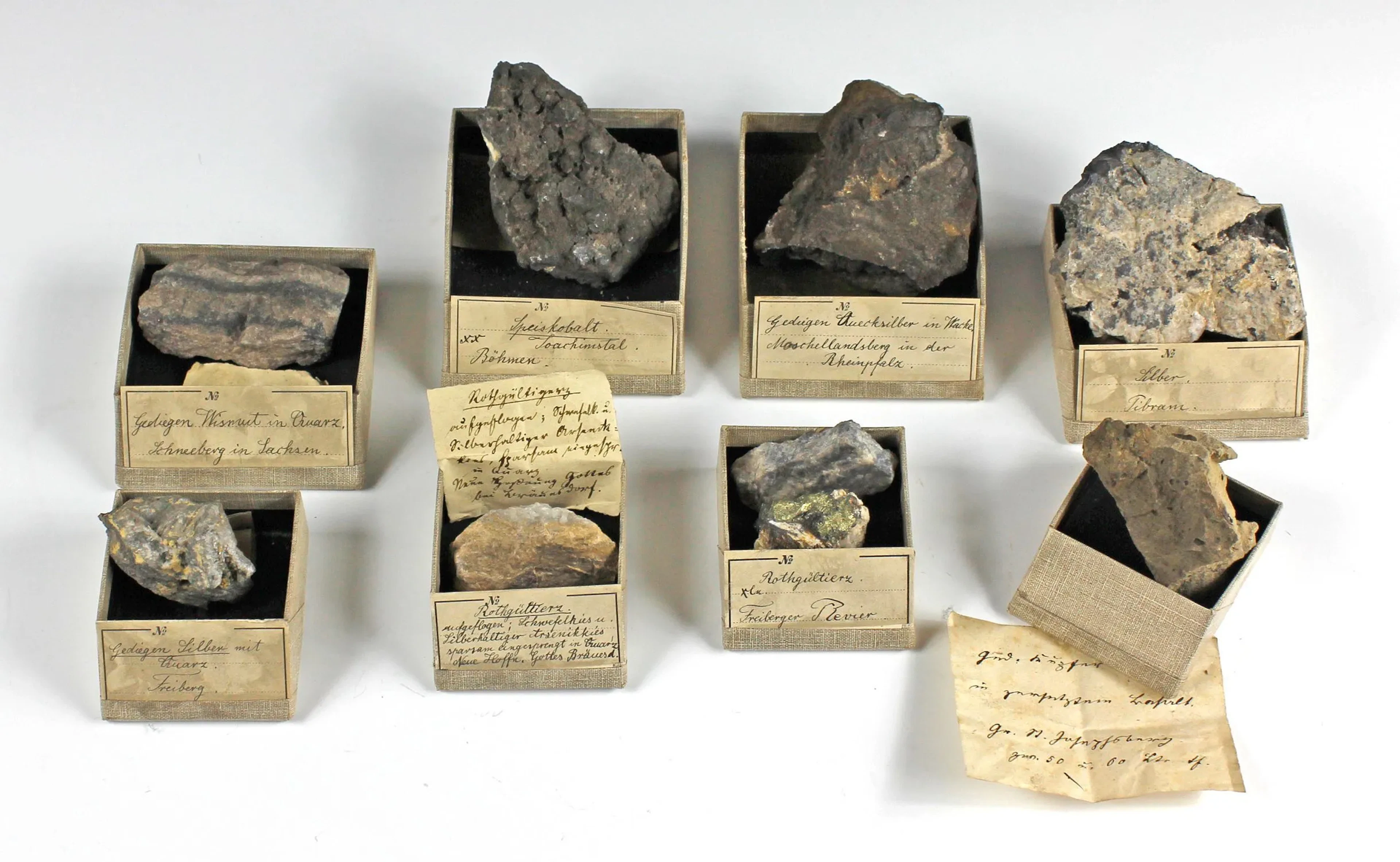 Minerals & Fossils