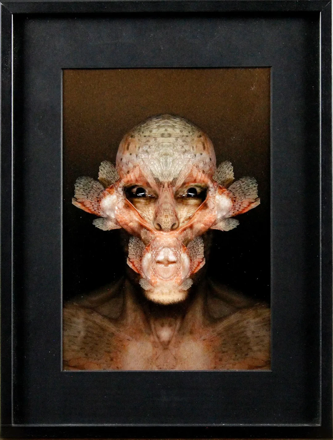 Curiosities