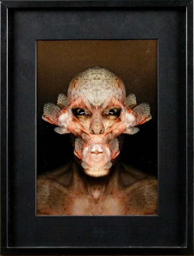 Curiosities
