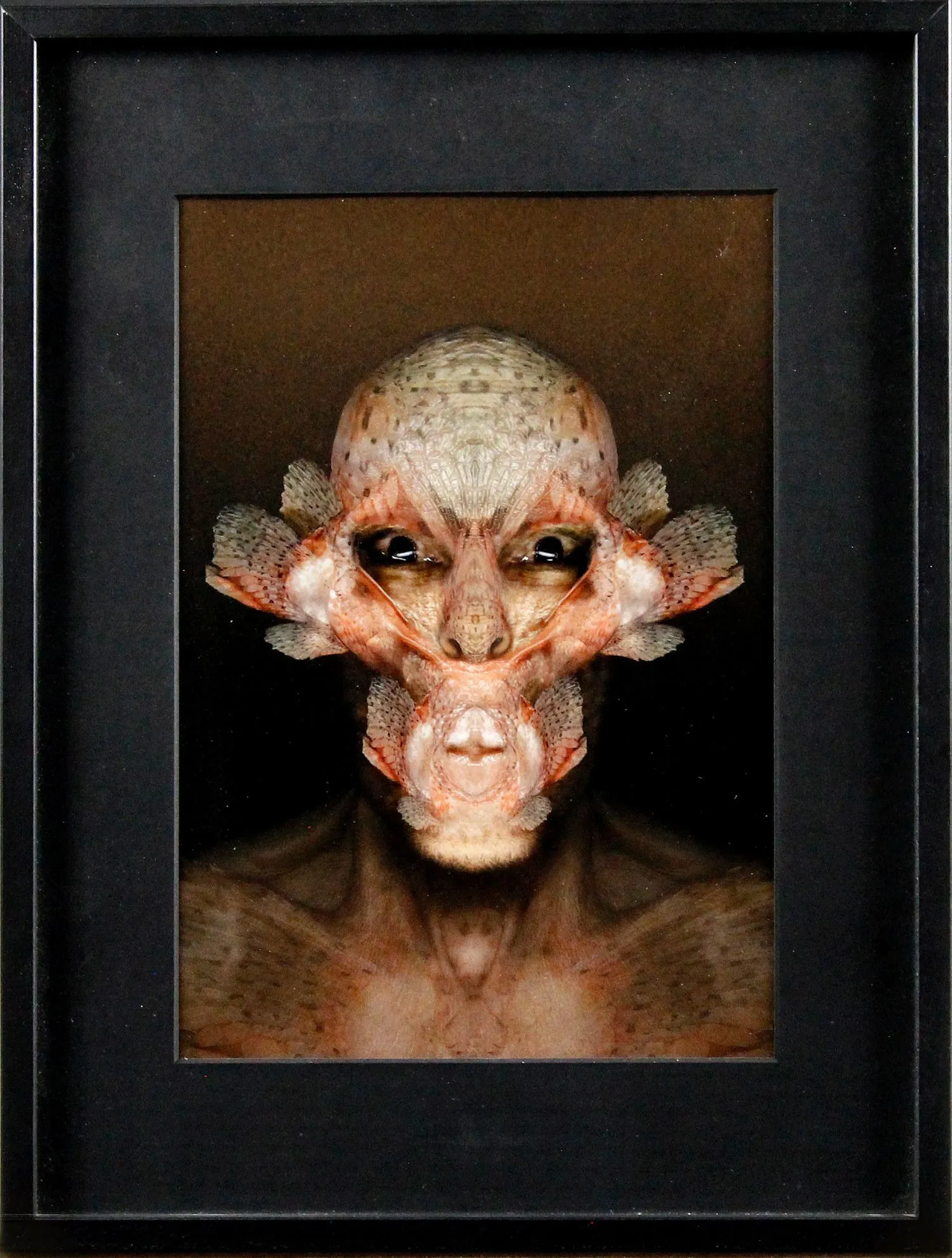 Curiosities