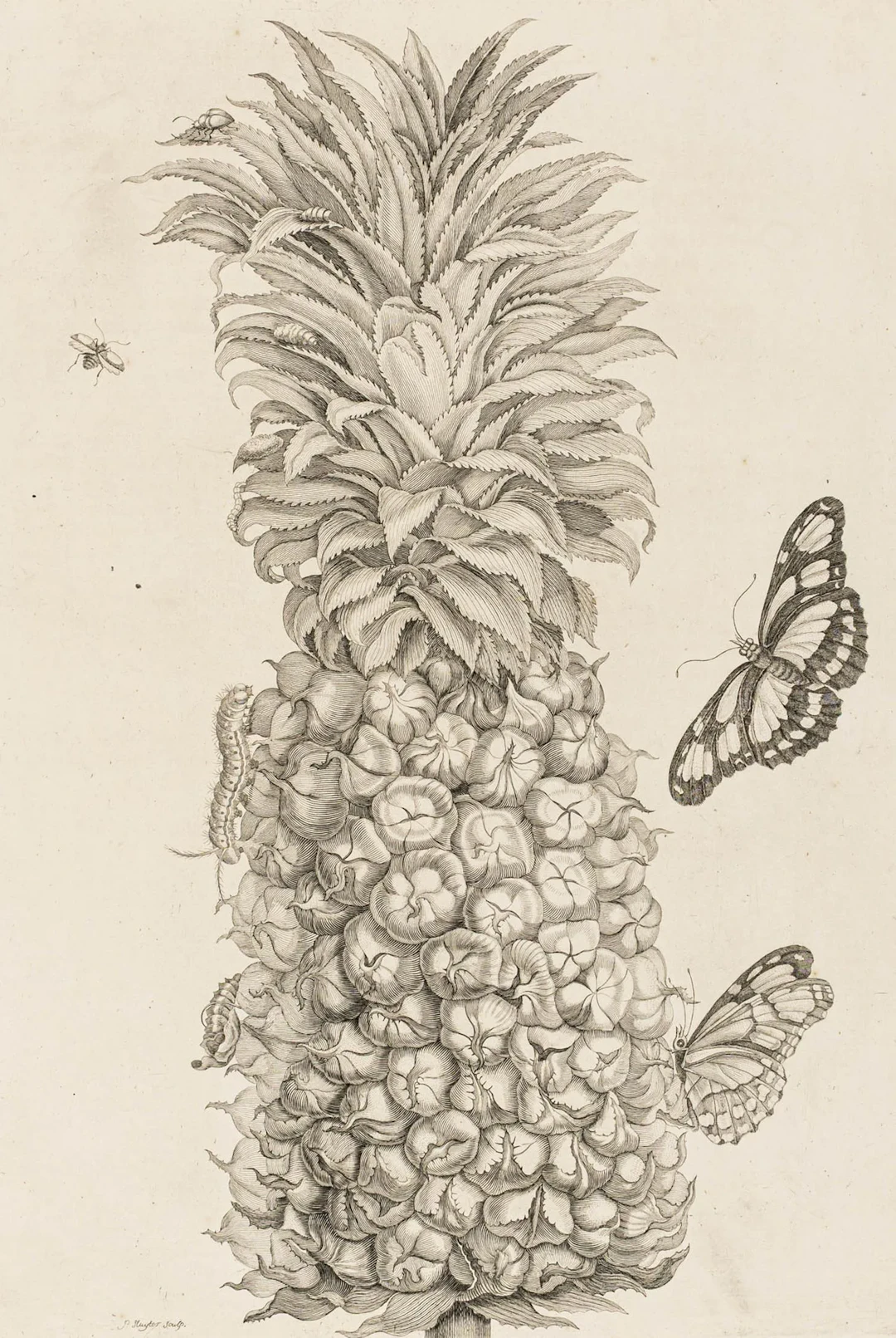 Biologie - Zoologie