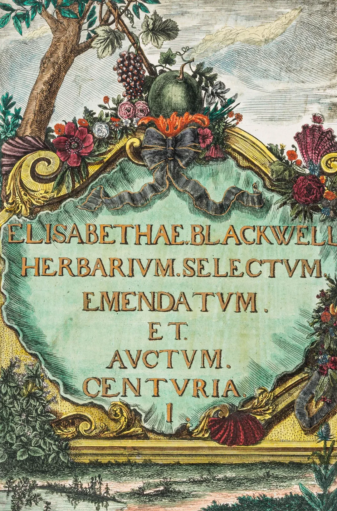 Biologie - Botanik