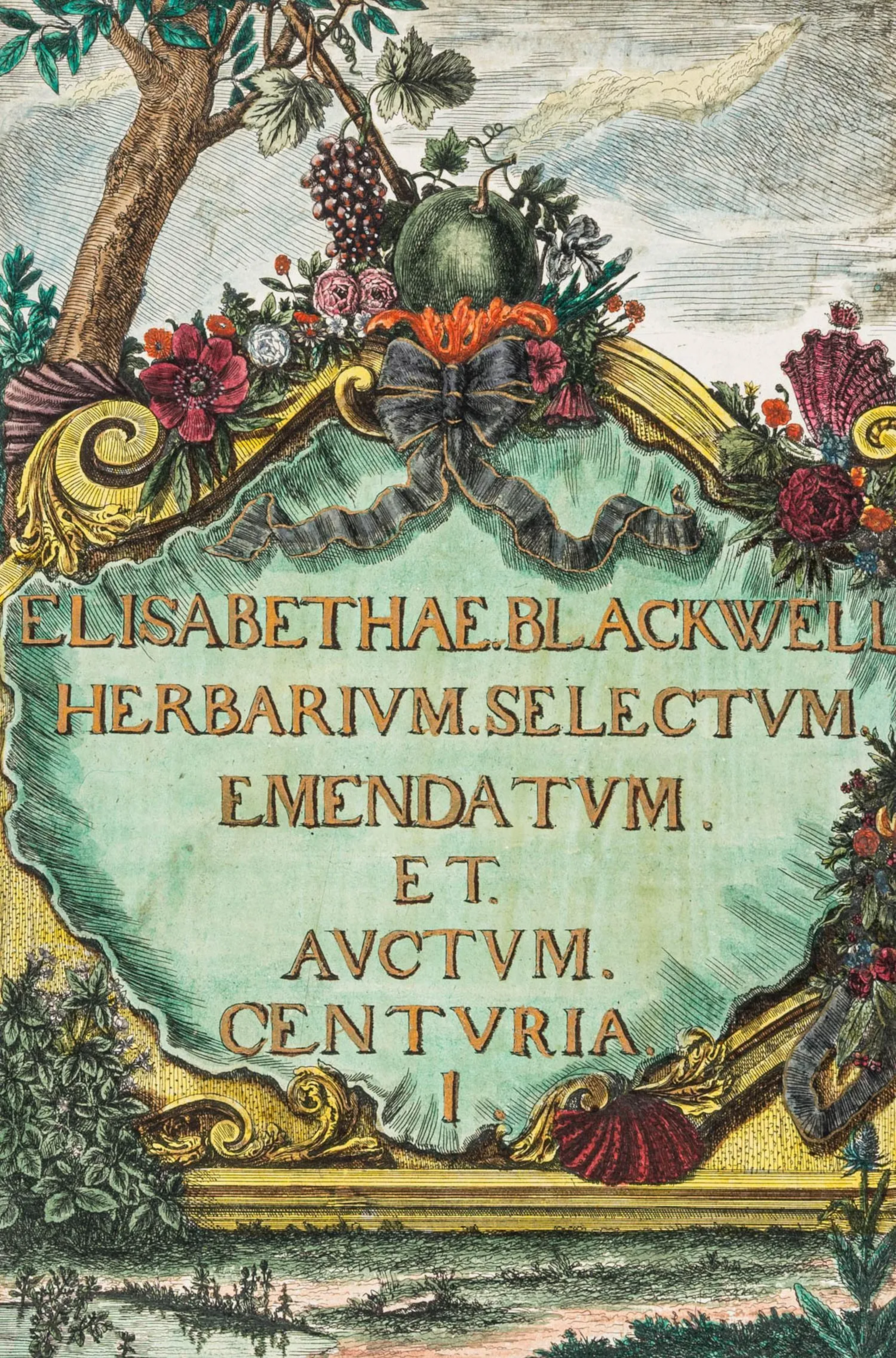 Biologie - Botanik