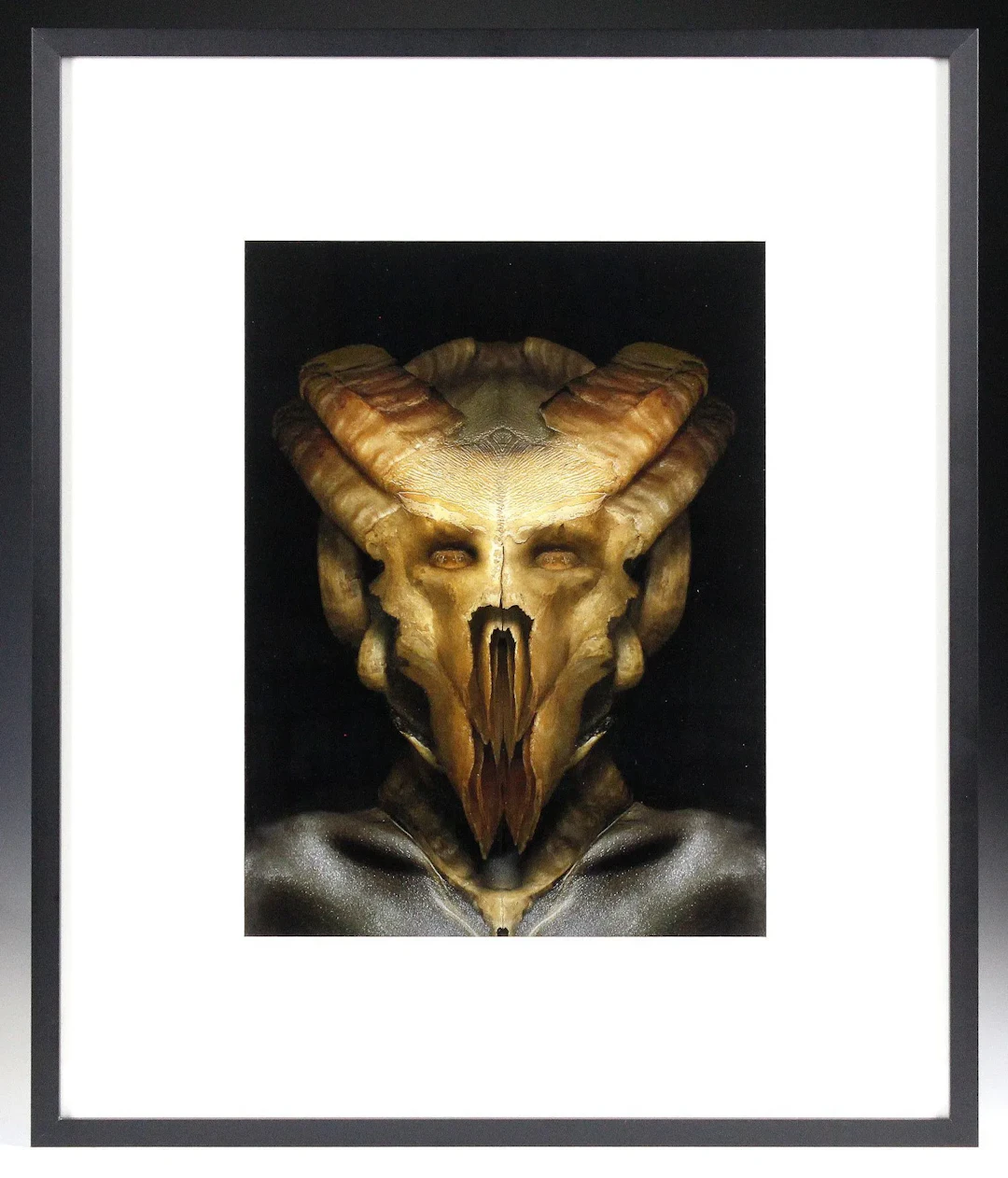 Curiosities