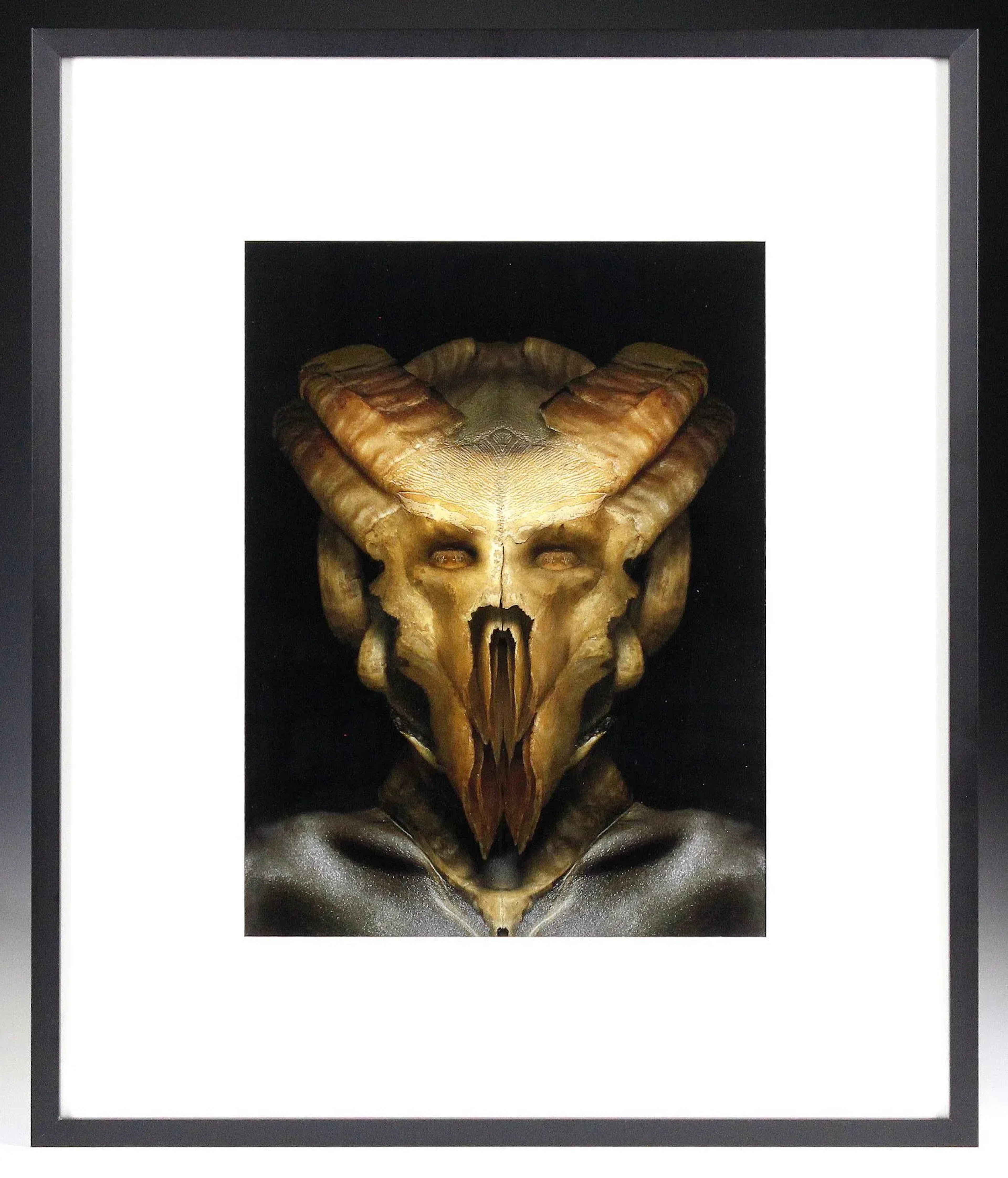 Curiosities