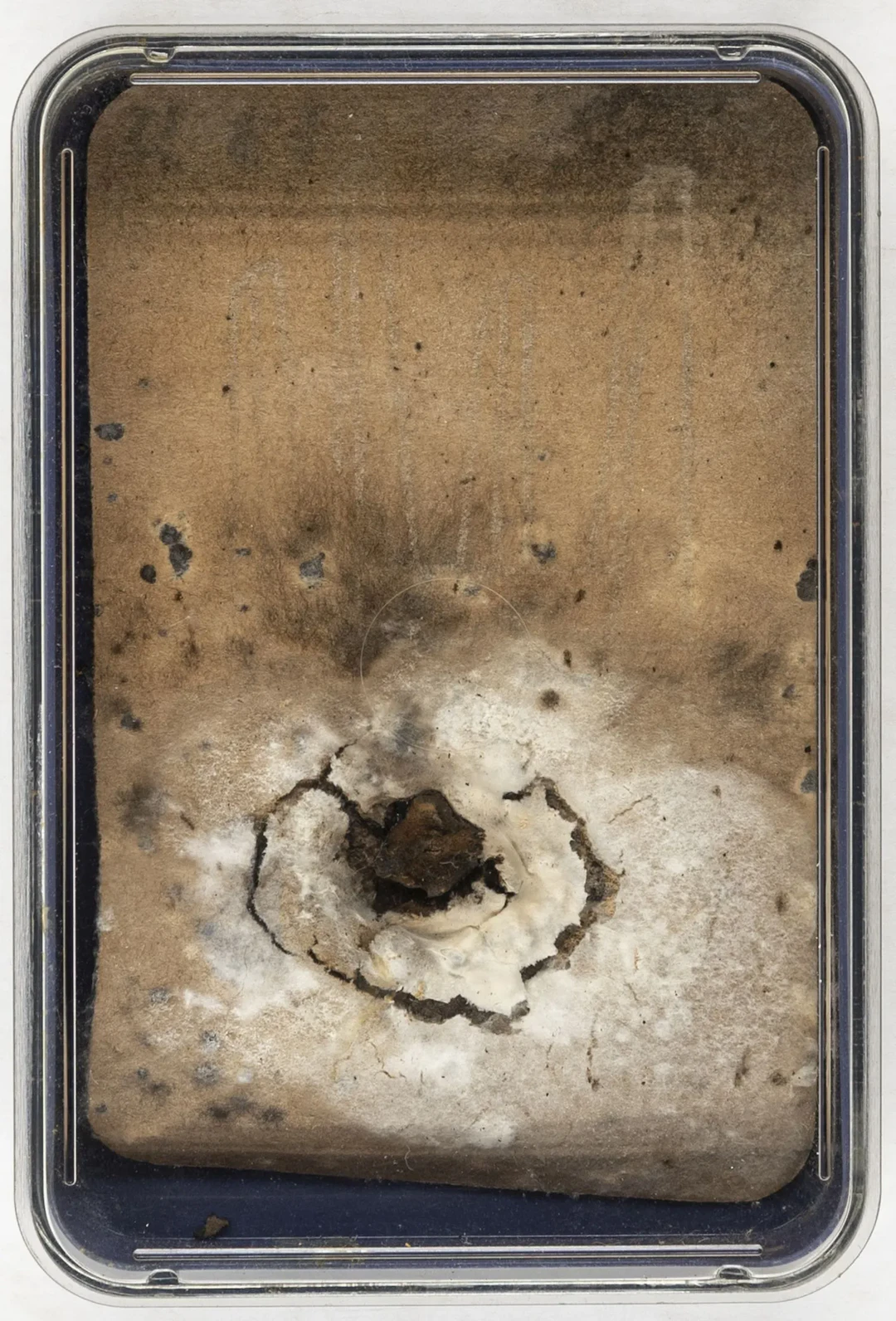 Fluxus