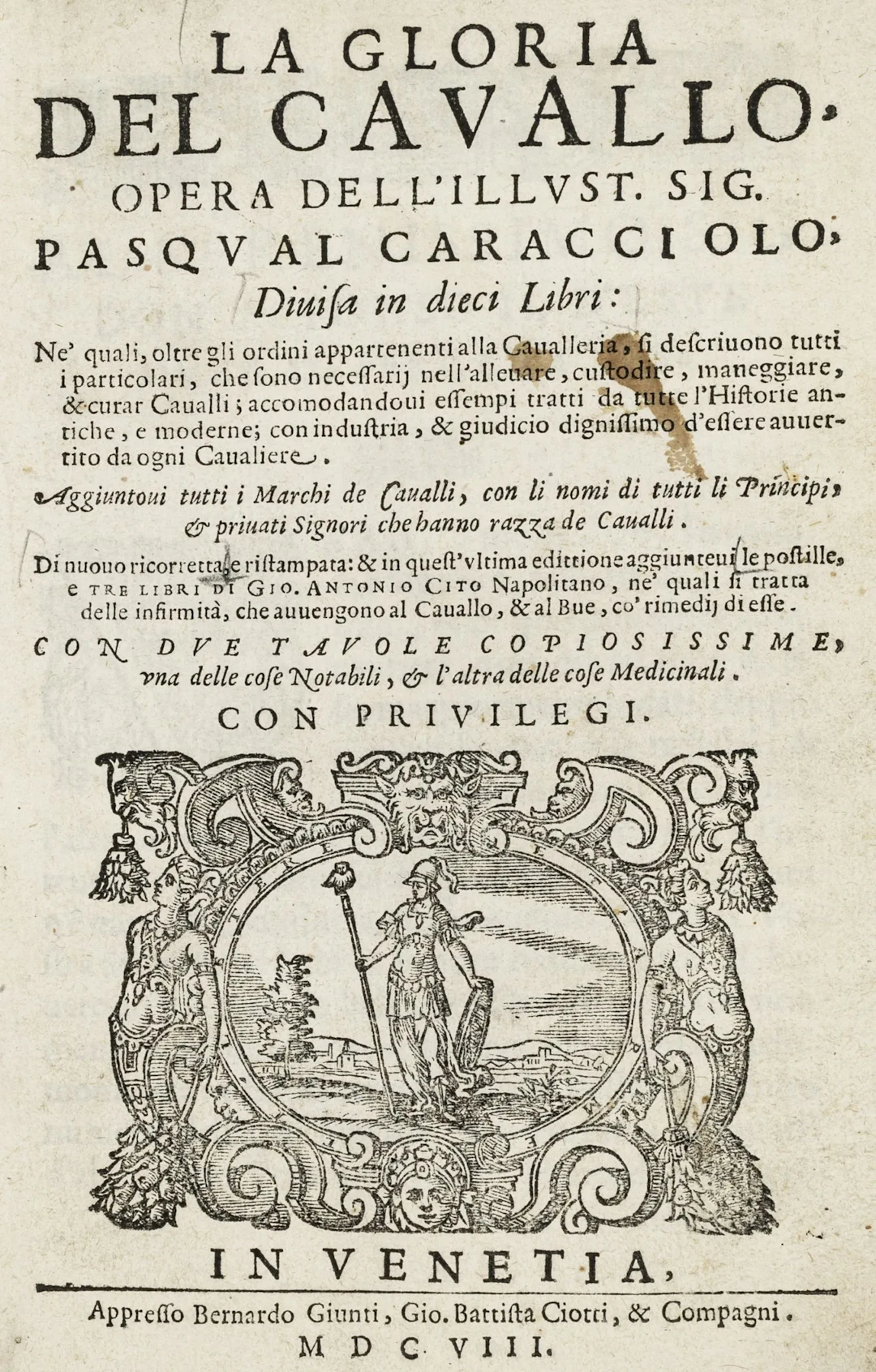 Pferde