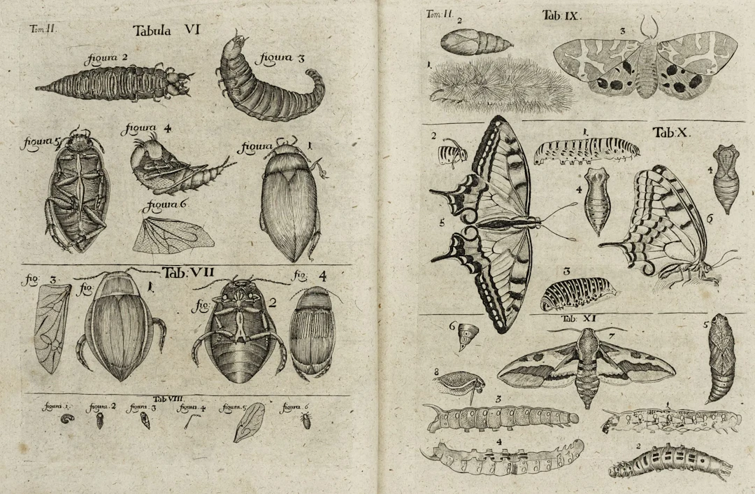 Biologie - Zoologie