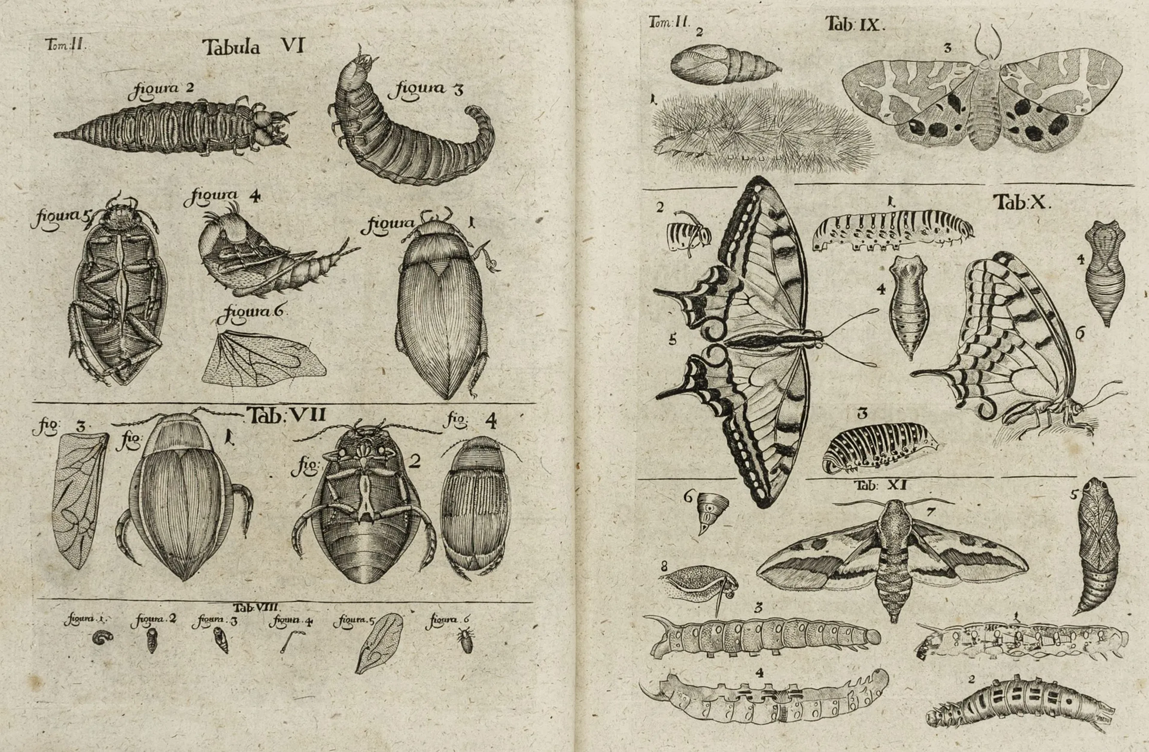 Biologie - Zoologie