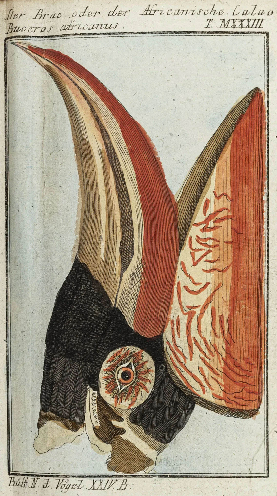 Biologie - Zoologie