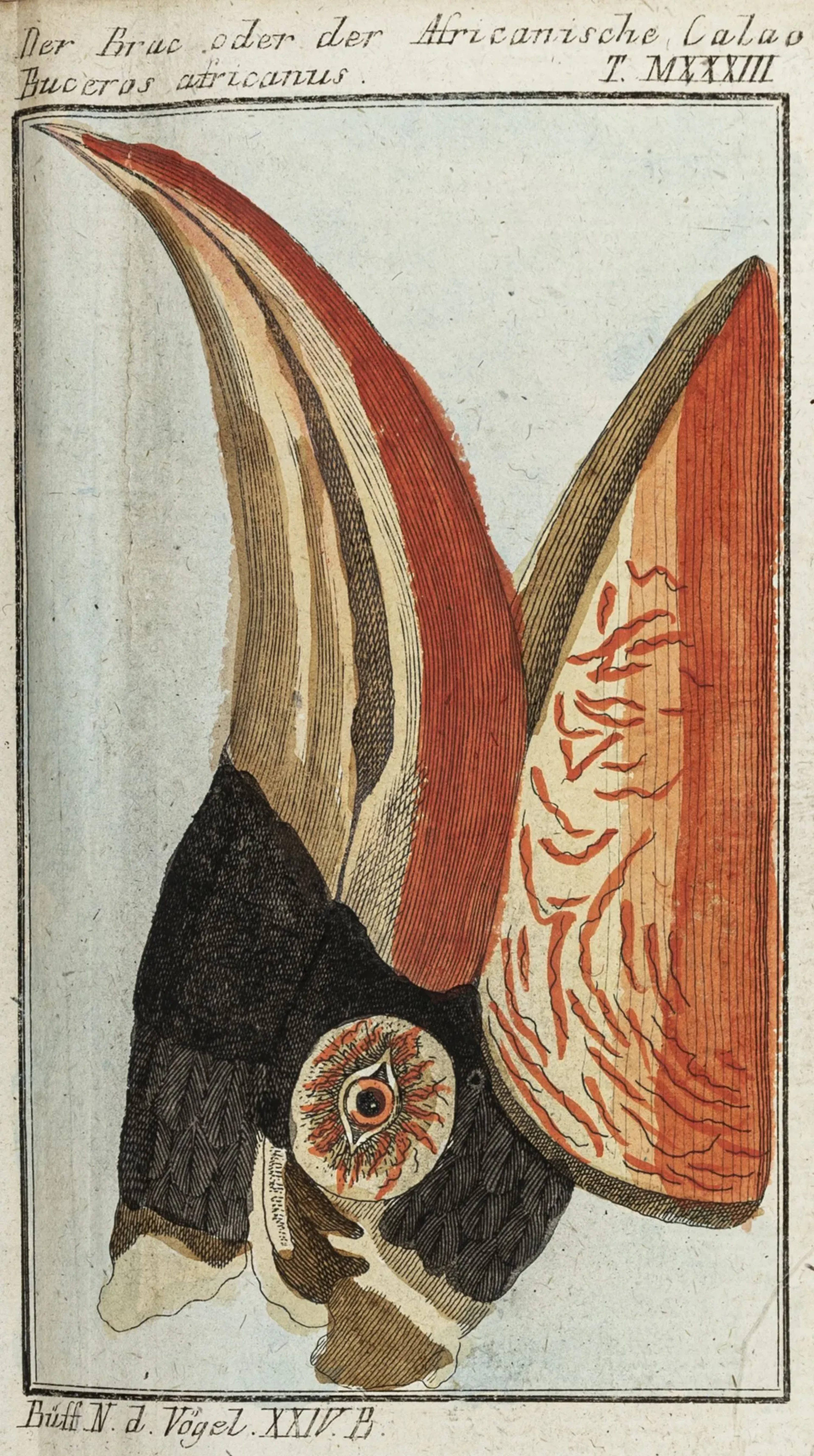 Biologie - Zoologie