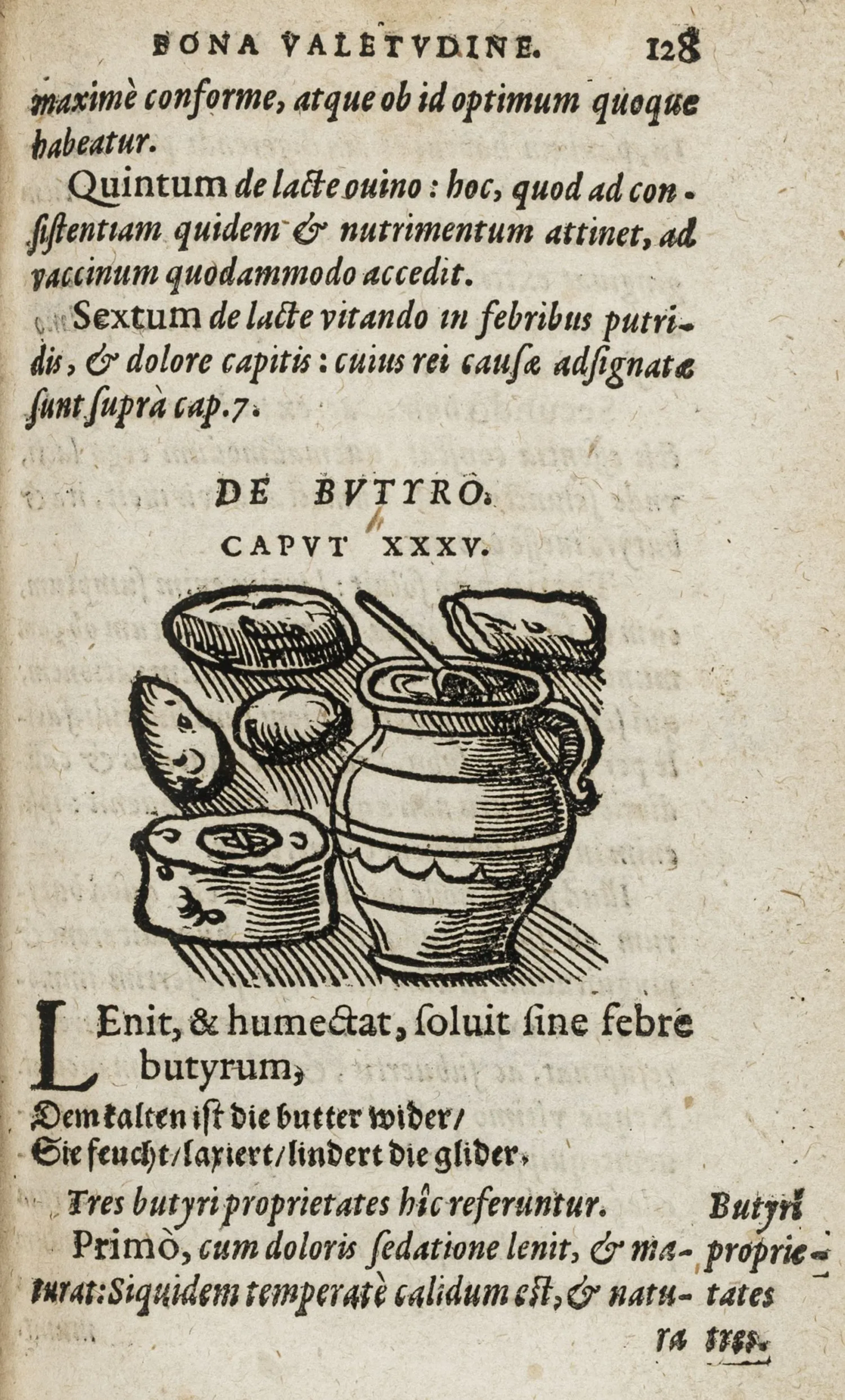 Curio, Johann