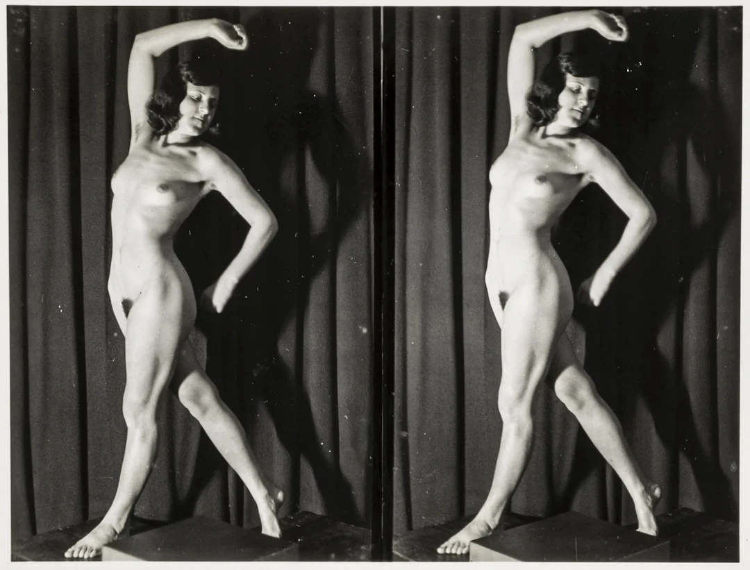 Sammlung von 67 erotischen Stereo-Photographien