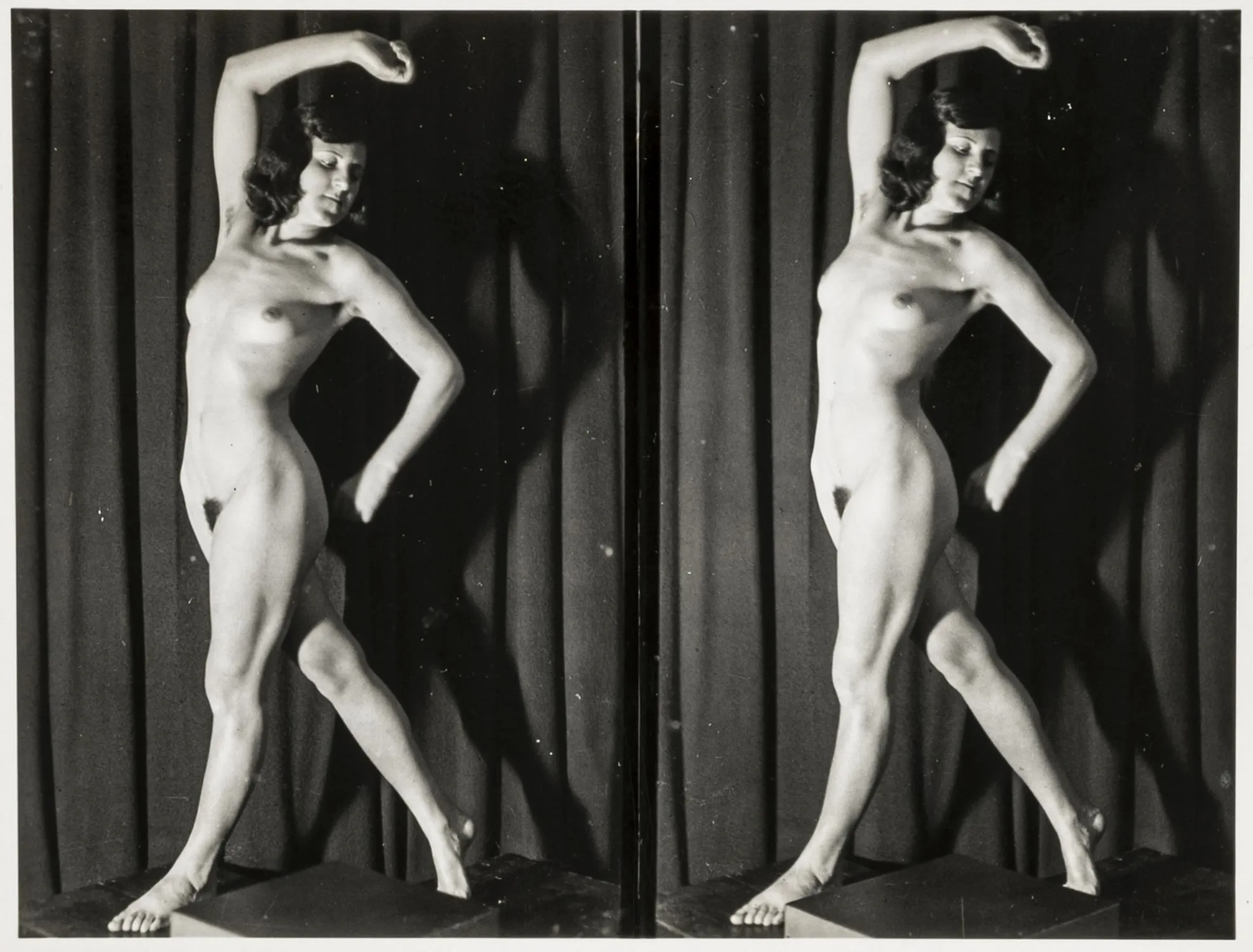 Sammlung von 67 erotischen Stereo-Photographien