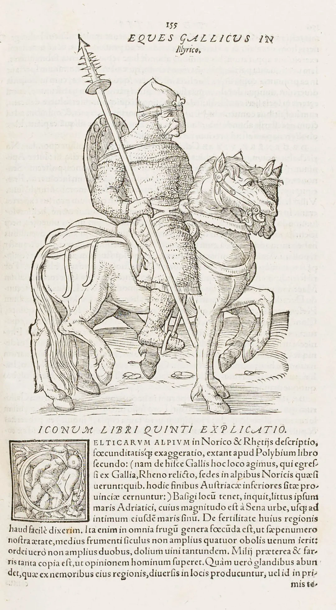Lazius, Wolfgang