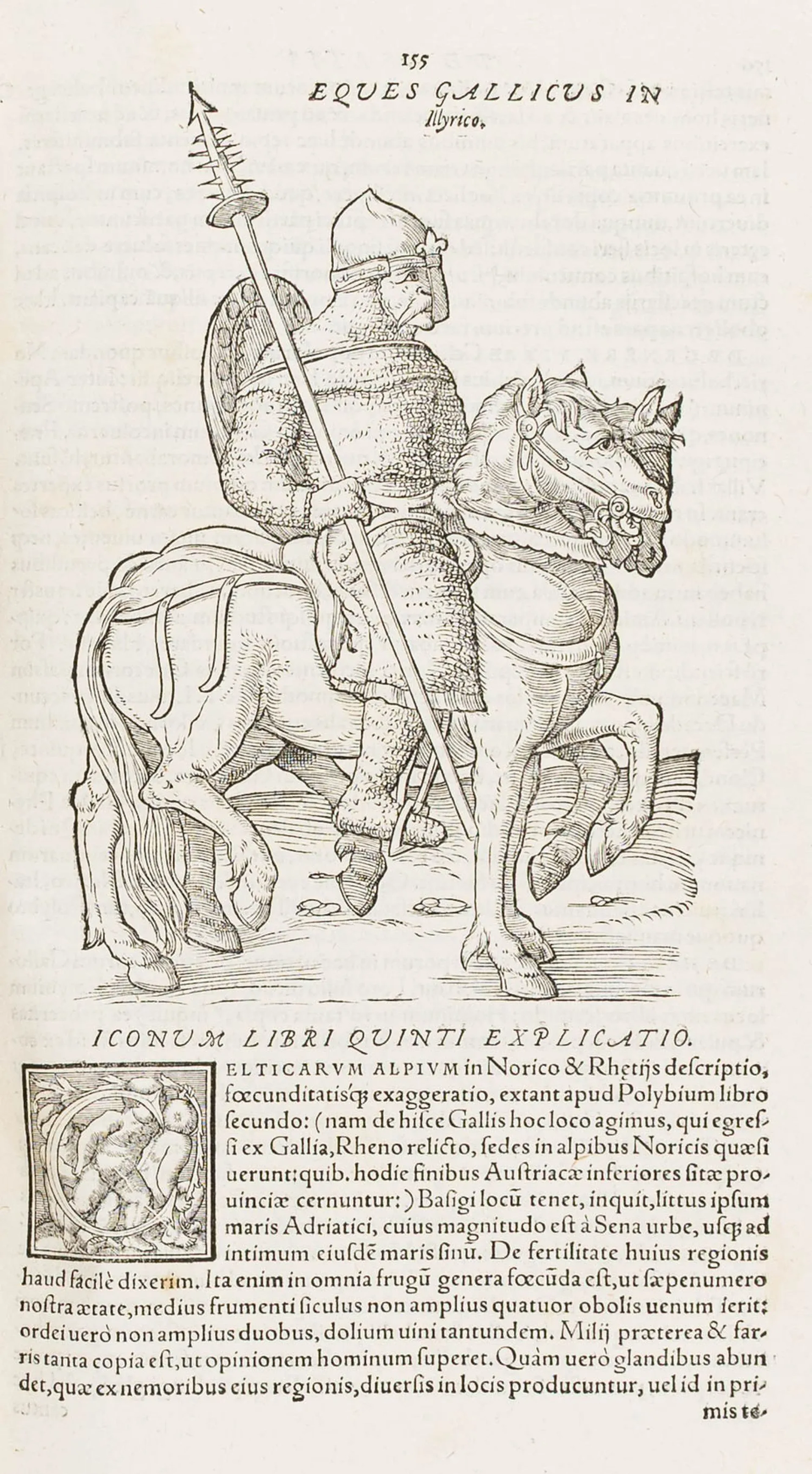 Lazius, Wolfgang