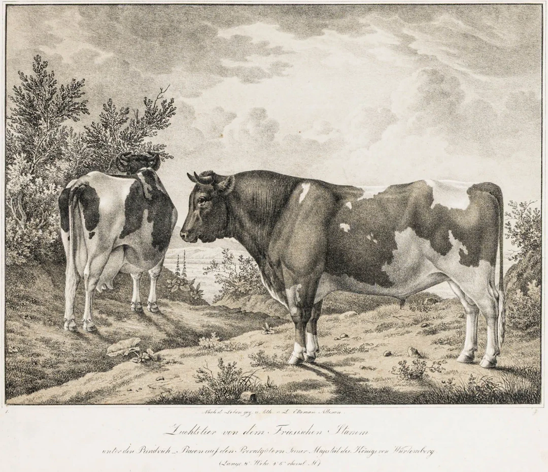 Landwirtschaft