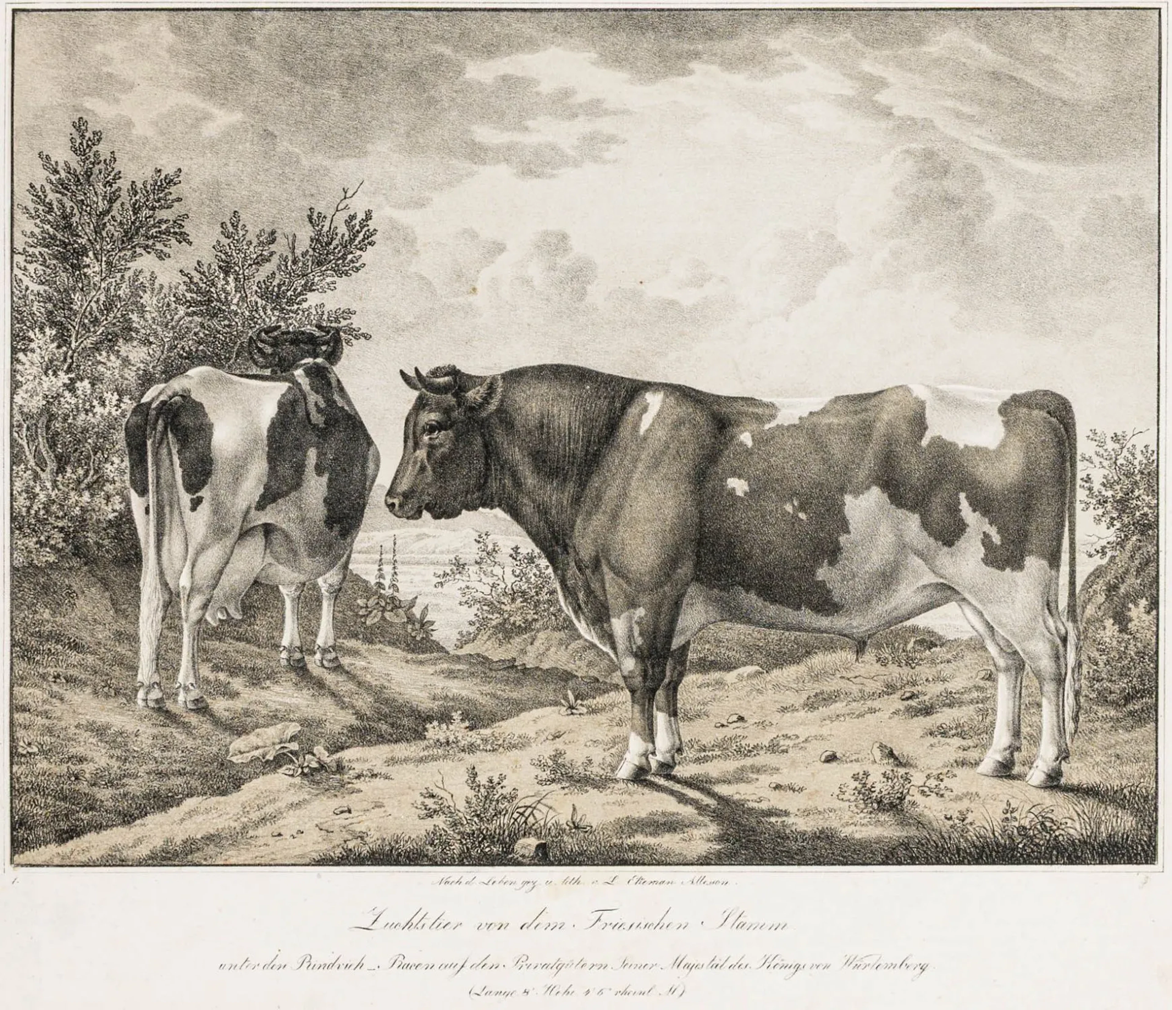 Landwirtschaft