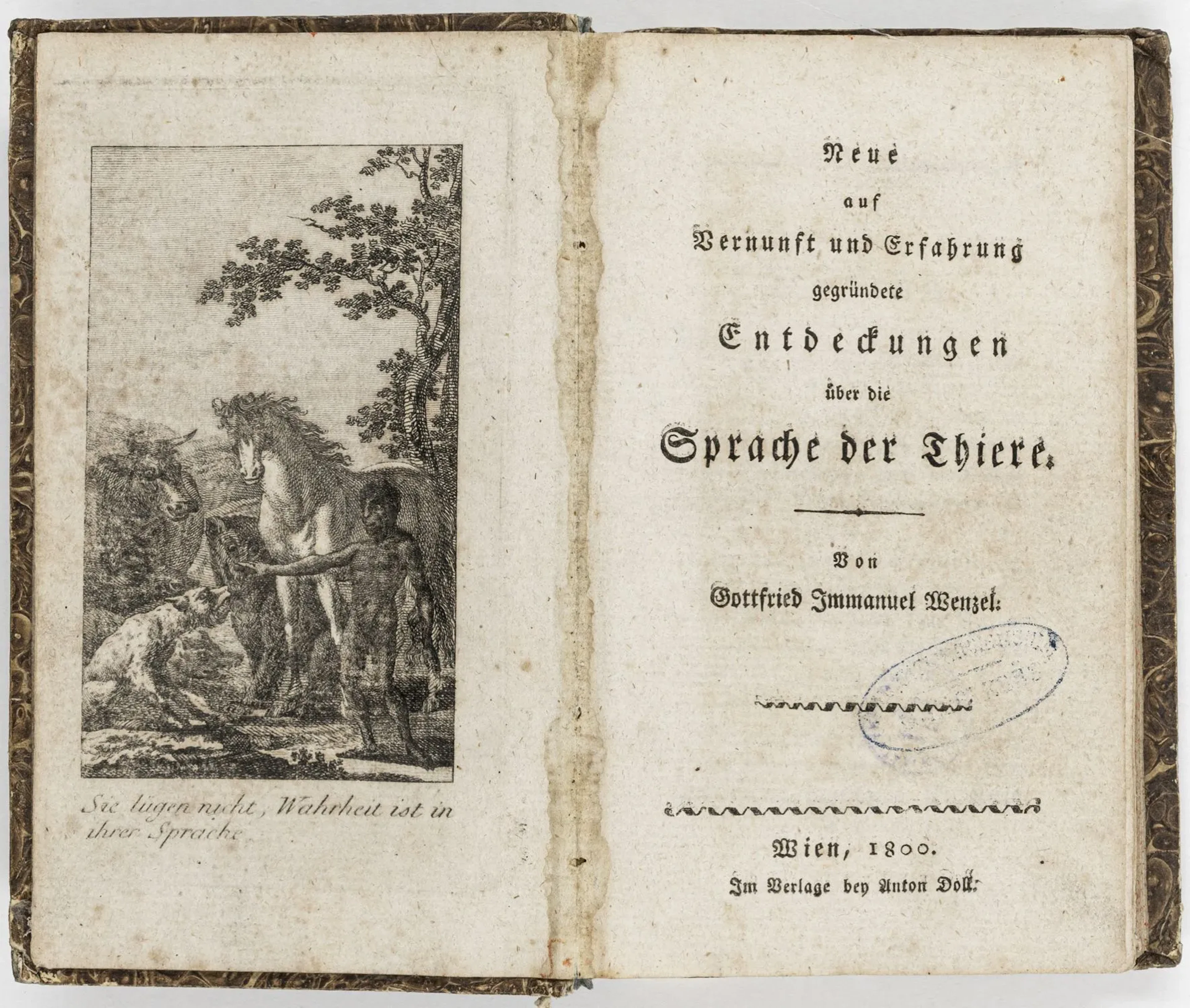 Biologie - Zoologie