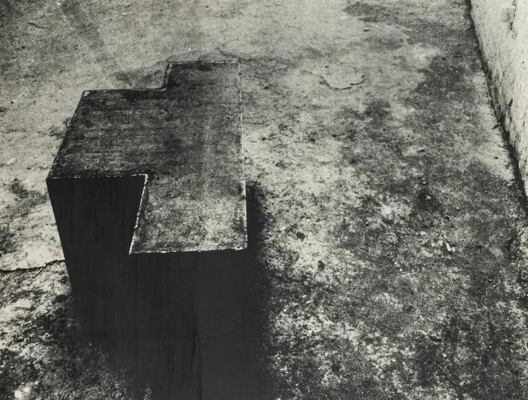 Fluxus