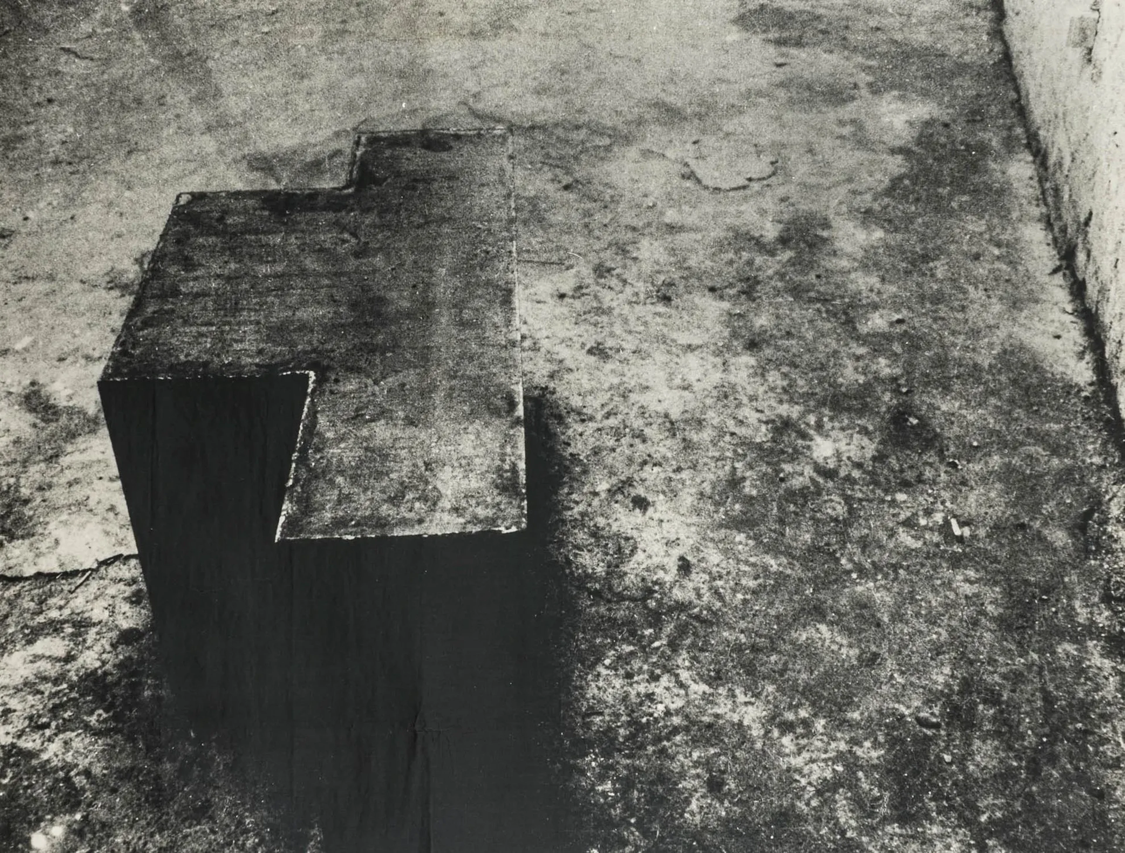 Fluxus