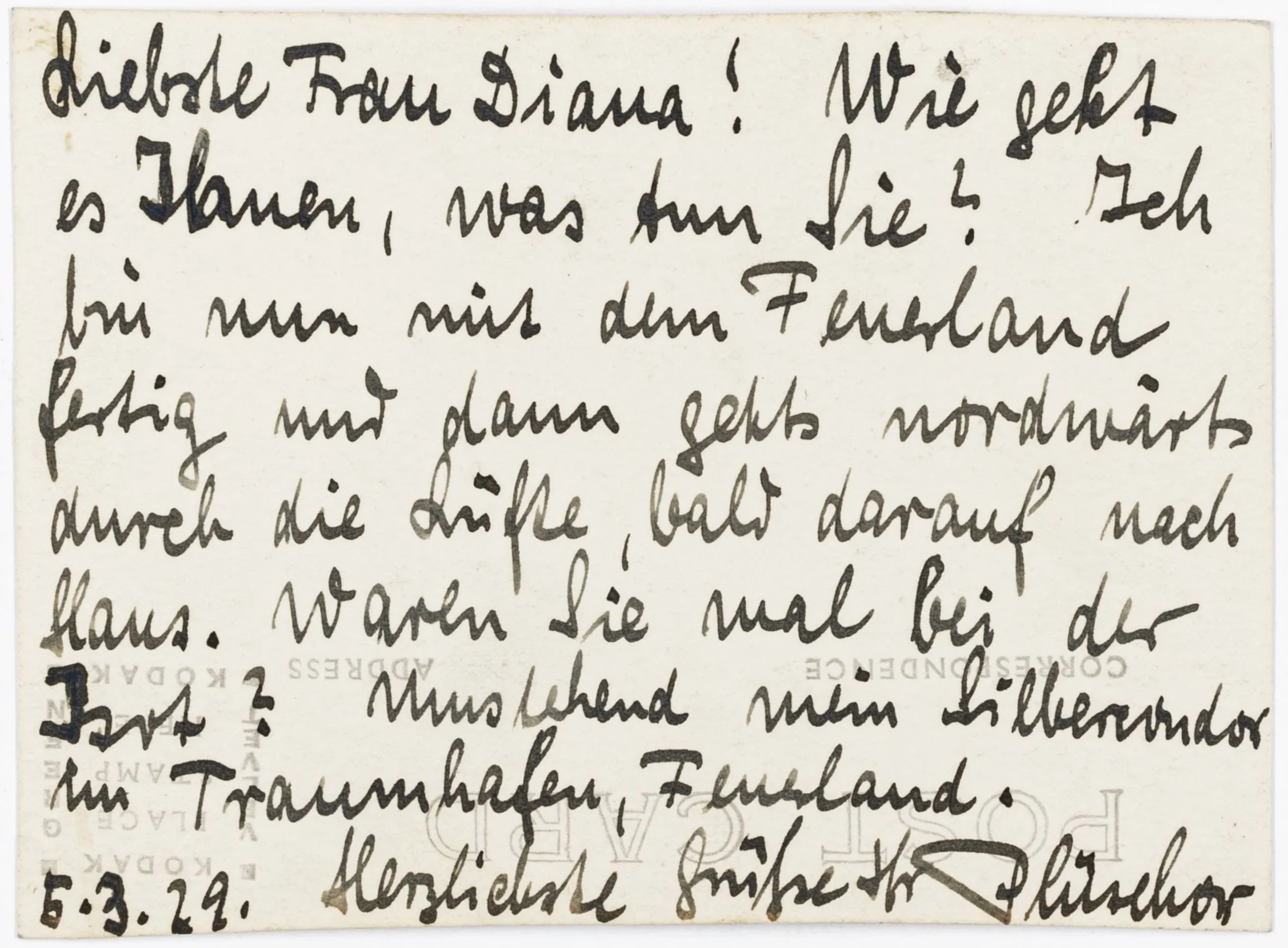 Plüschow, Günther