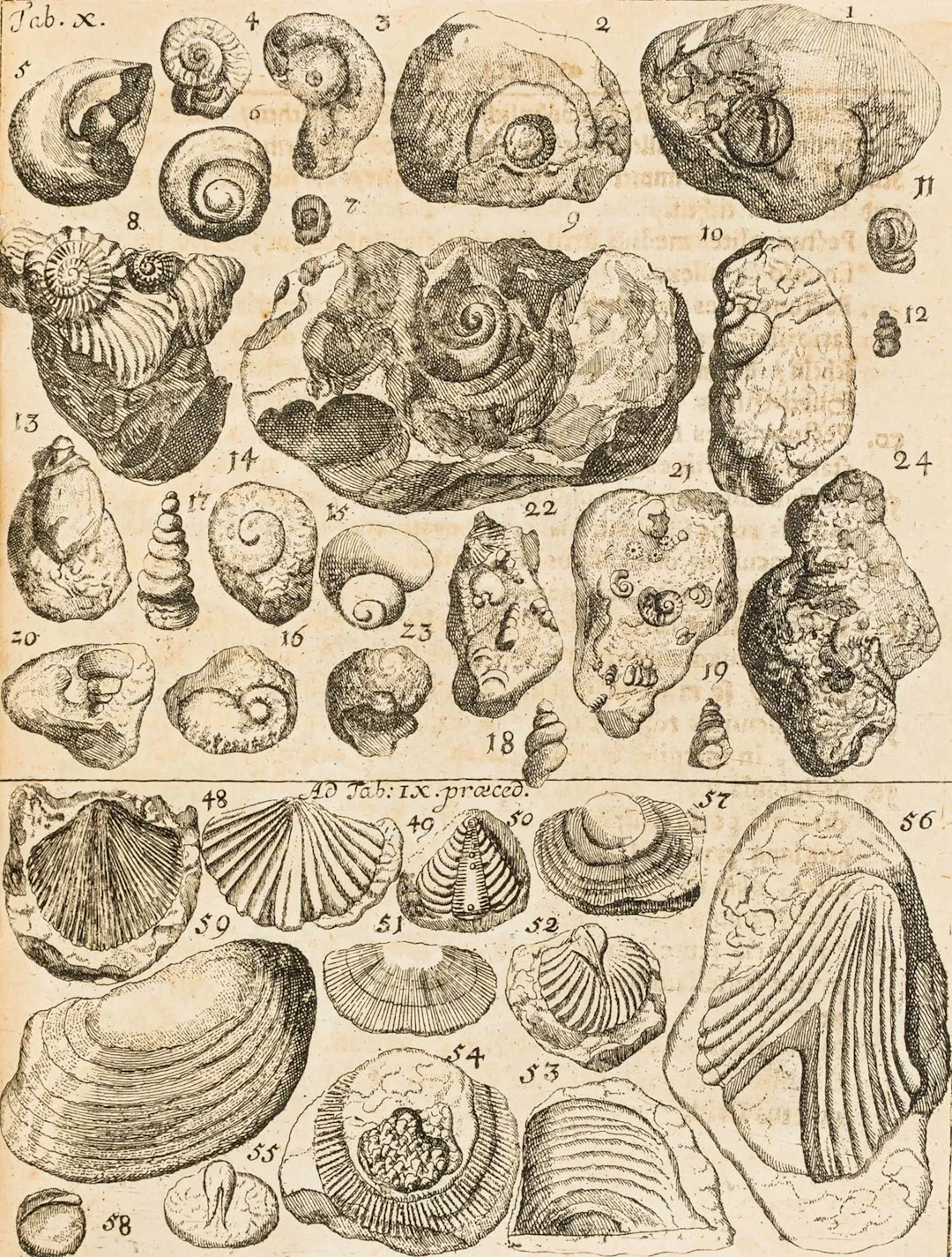 Geologie