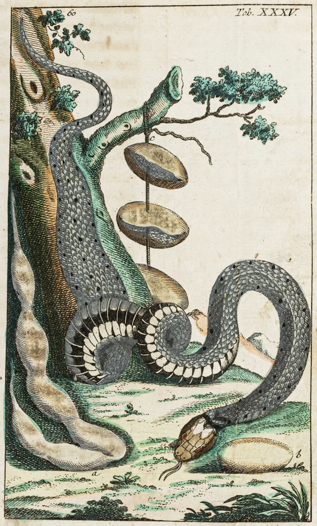 Biologie - Zoologie