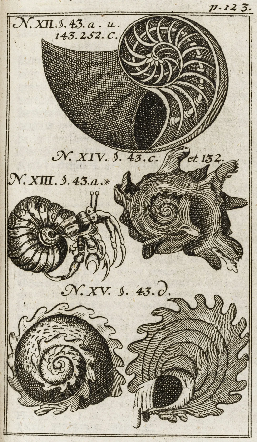 Biologie - Zoologie