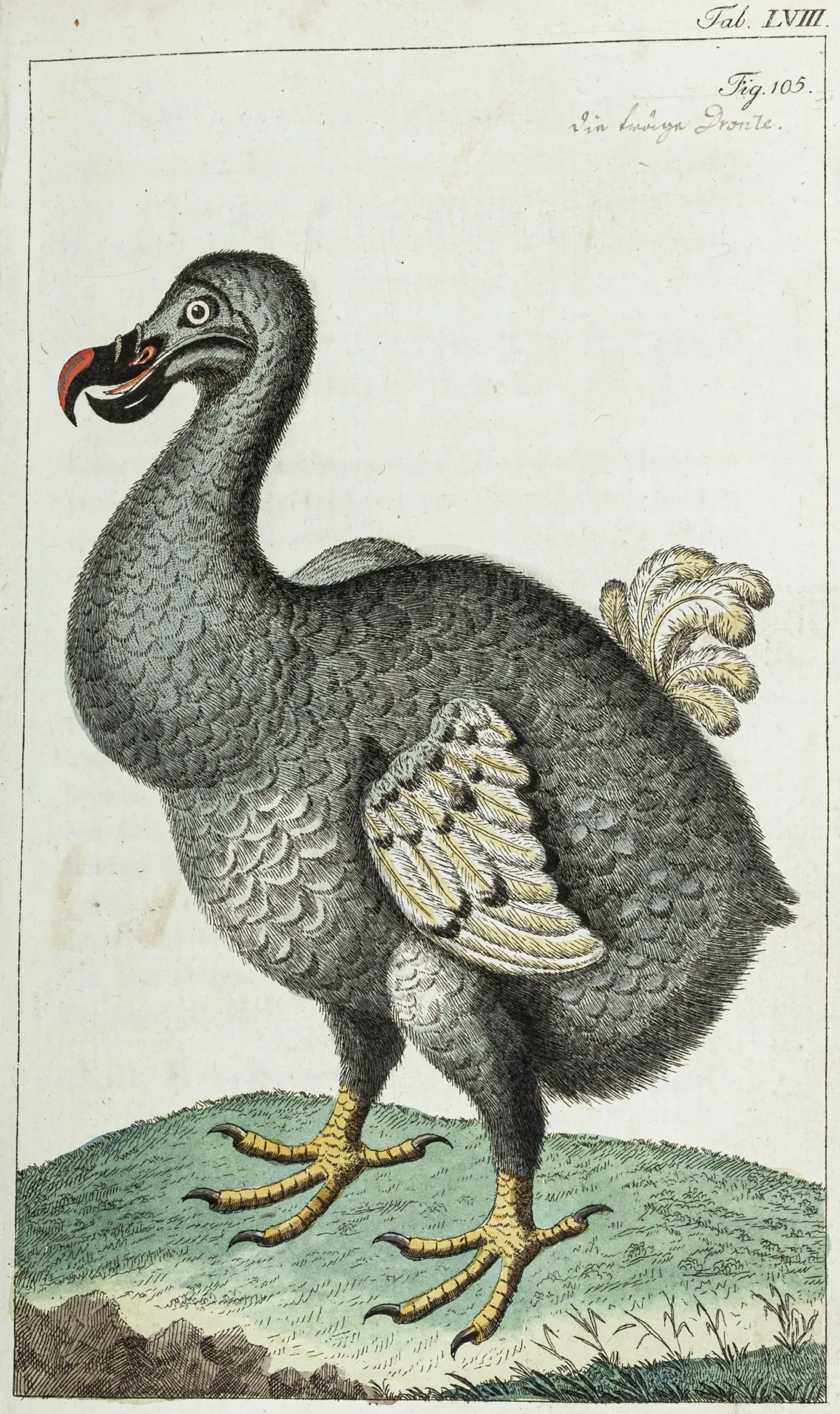 Biologie - Zoologie