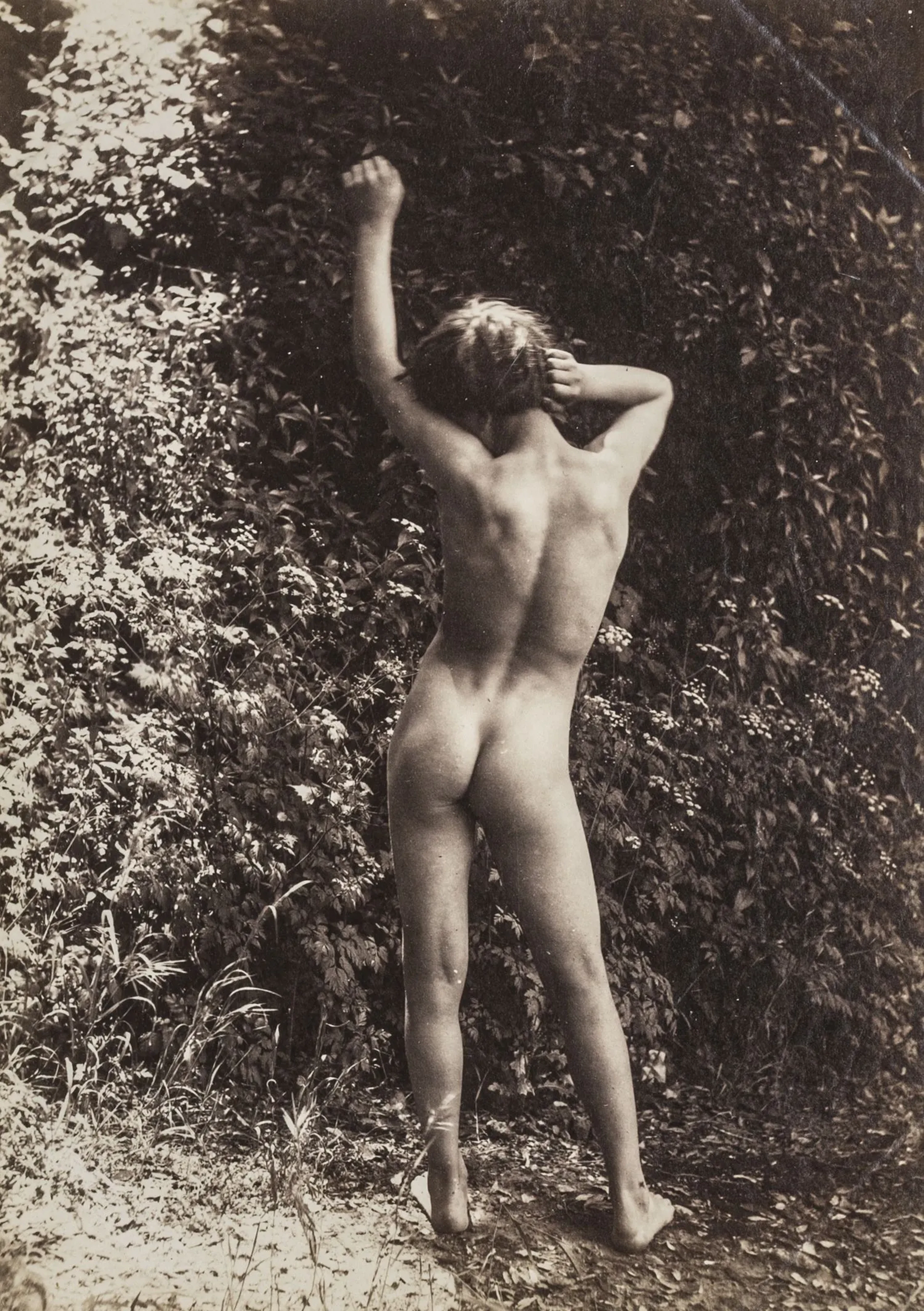 Plüschow, Wilhelm