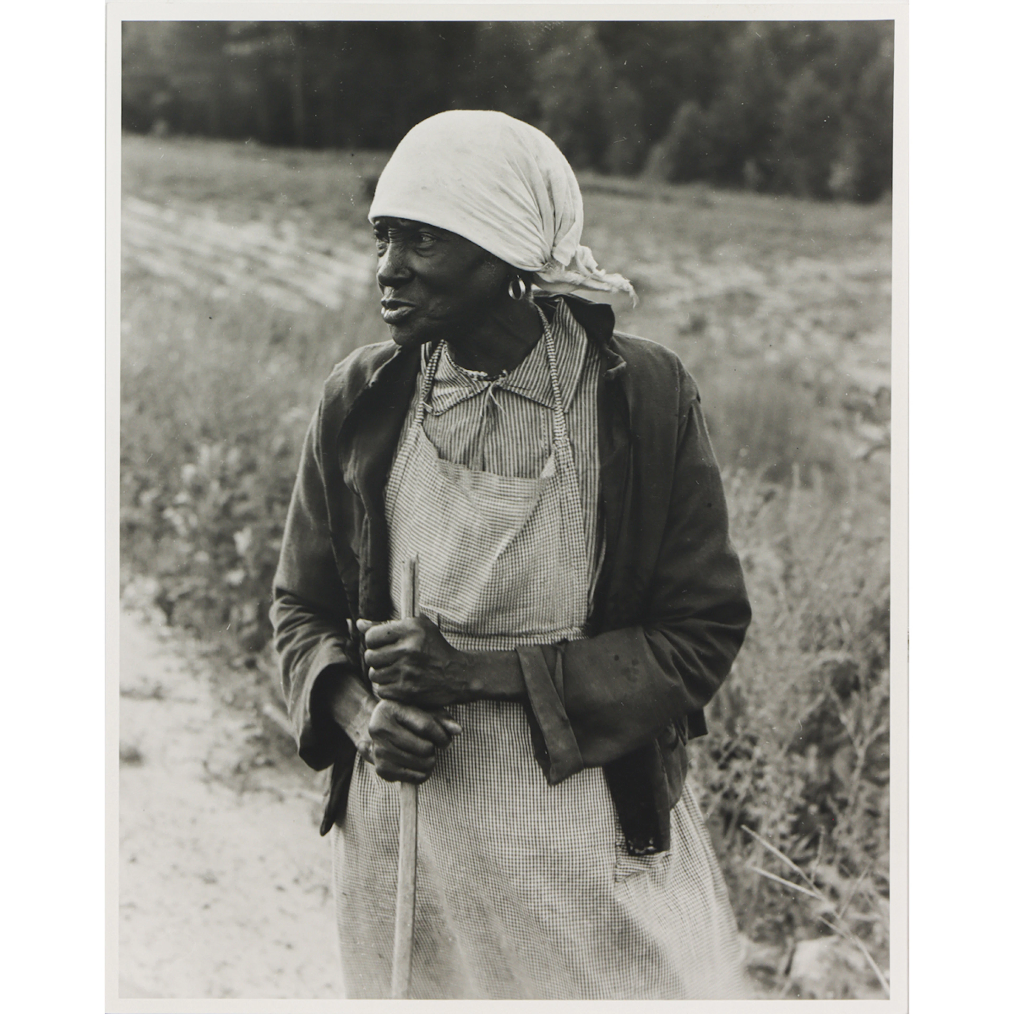 Photograph, Dorothea Lange