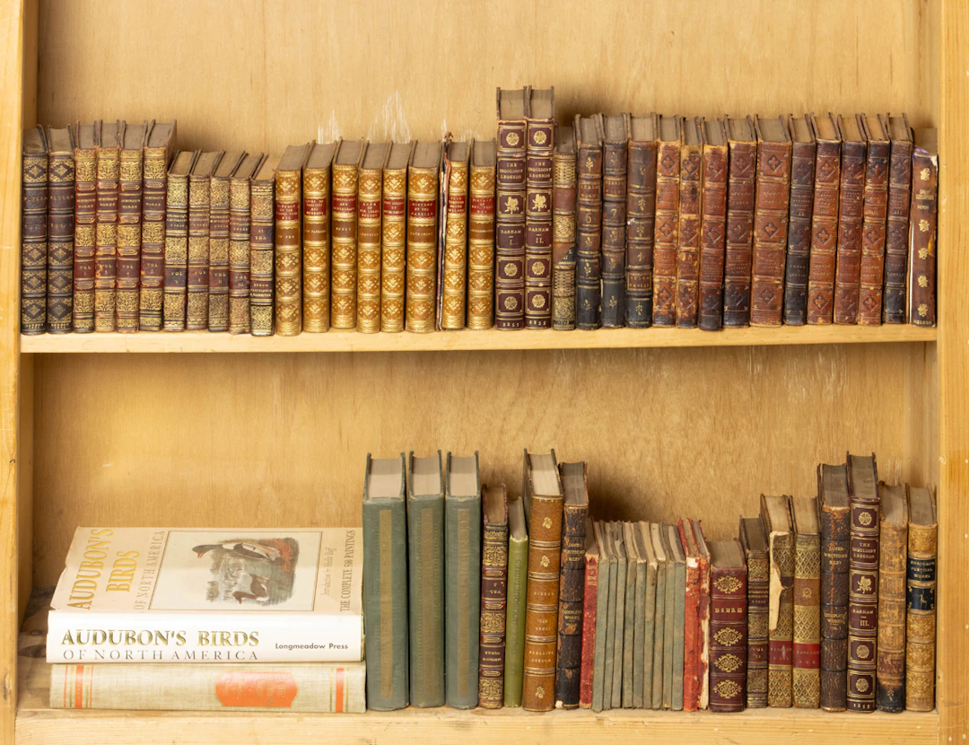 Two shelves of mainly antique leather bound books [approx 65 total]