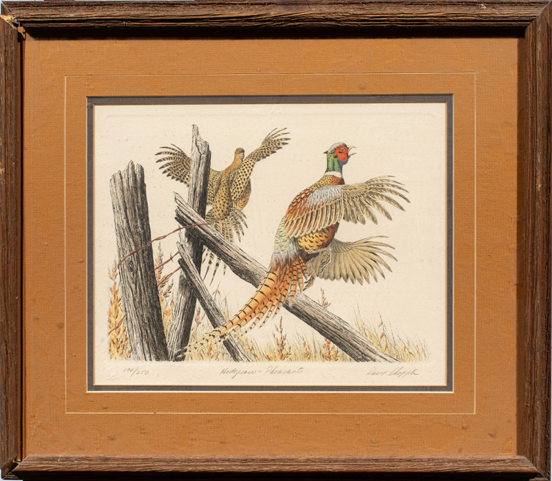 Print, David Chapple