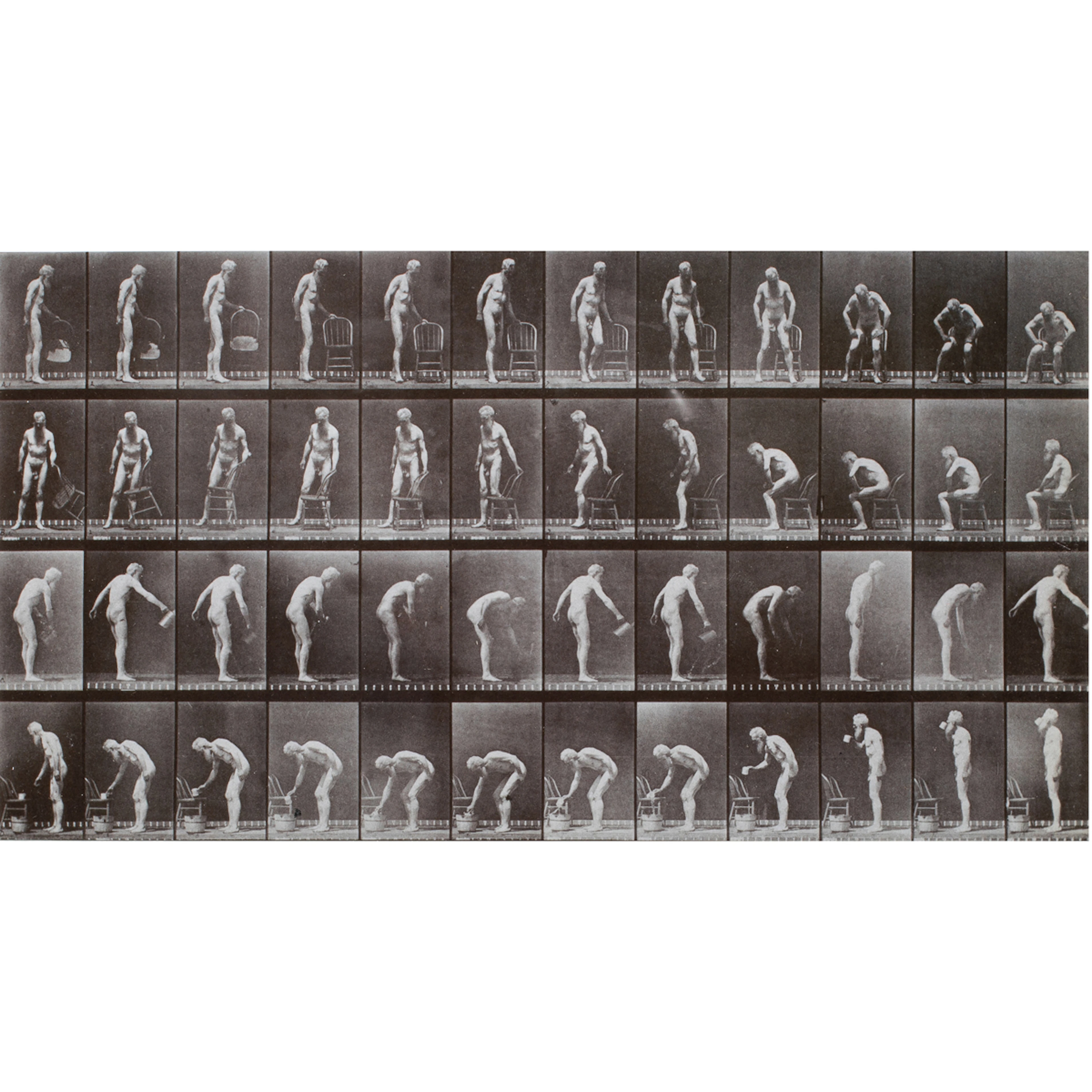 Photograph, Eadweard Muybridge