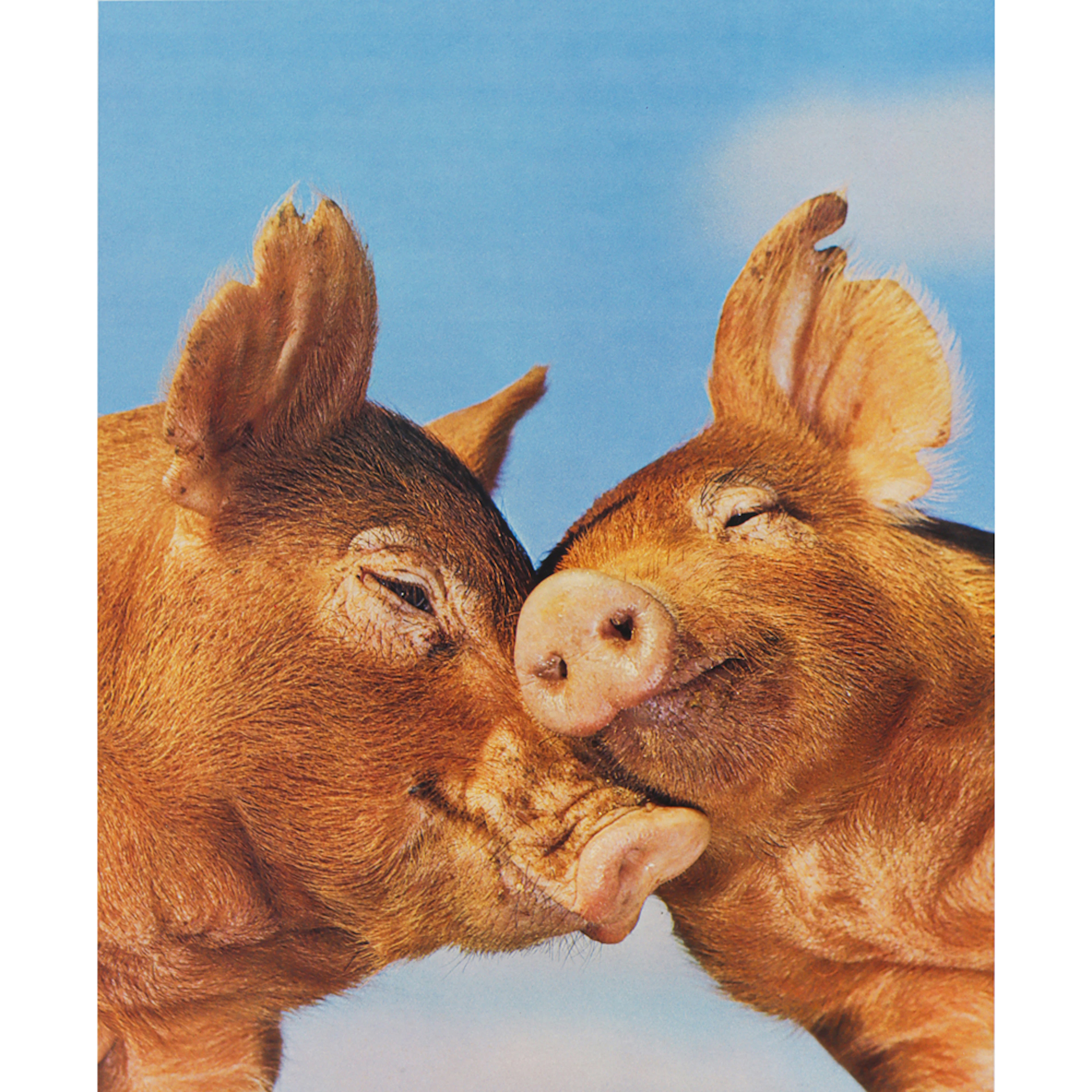Photographic Print, Joe Munroe